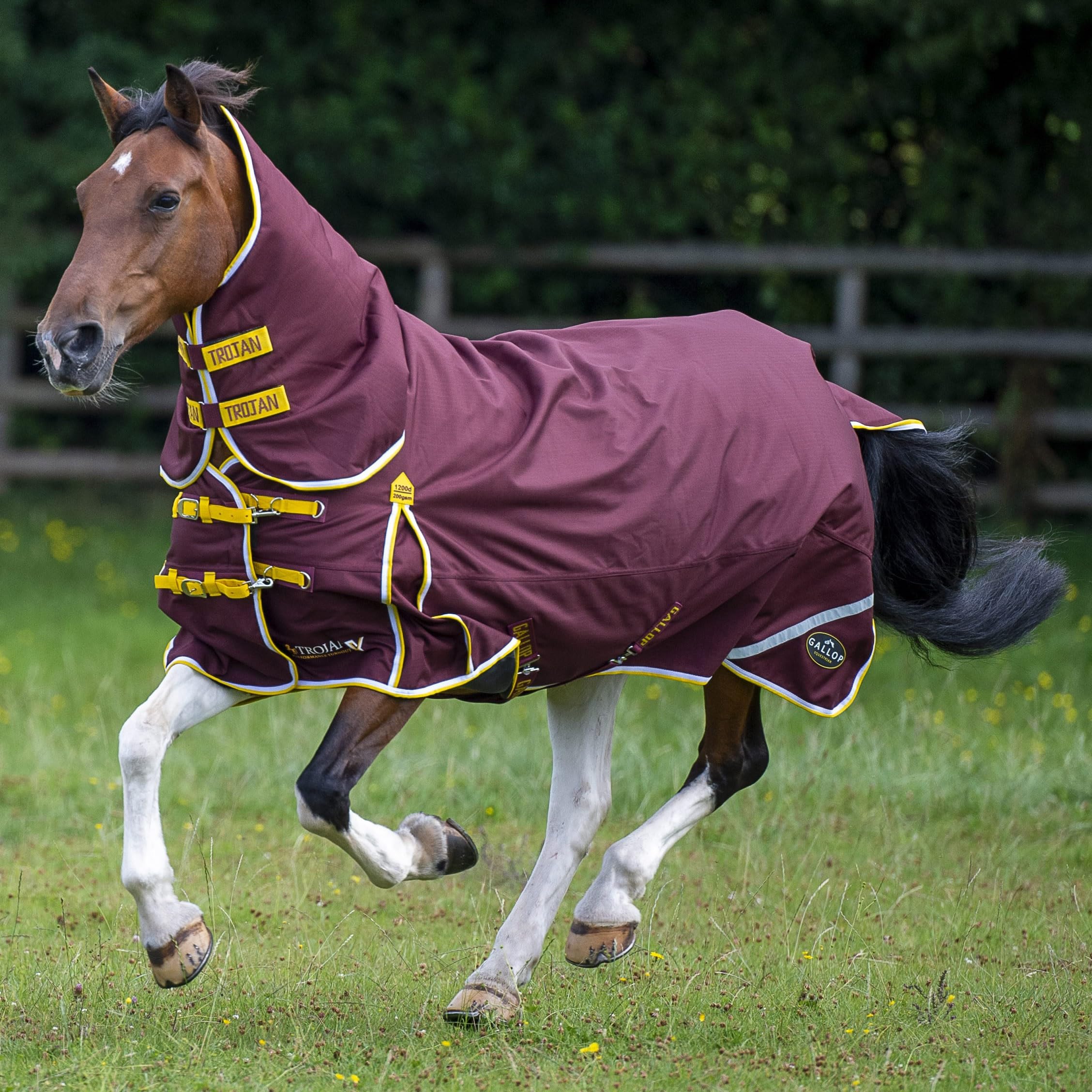 Gallop TROJAN Xtra Duraproof 200g Turnout Combo (7'0)