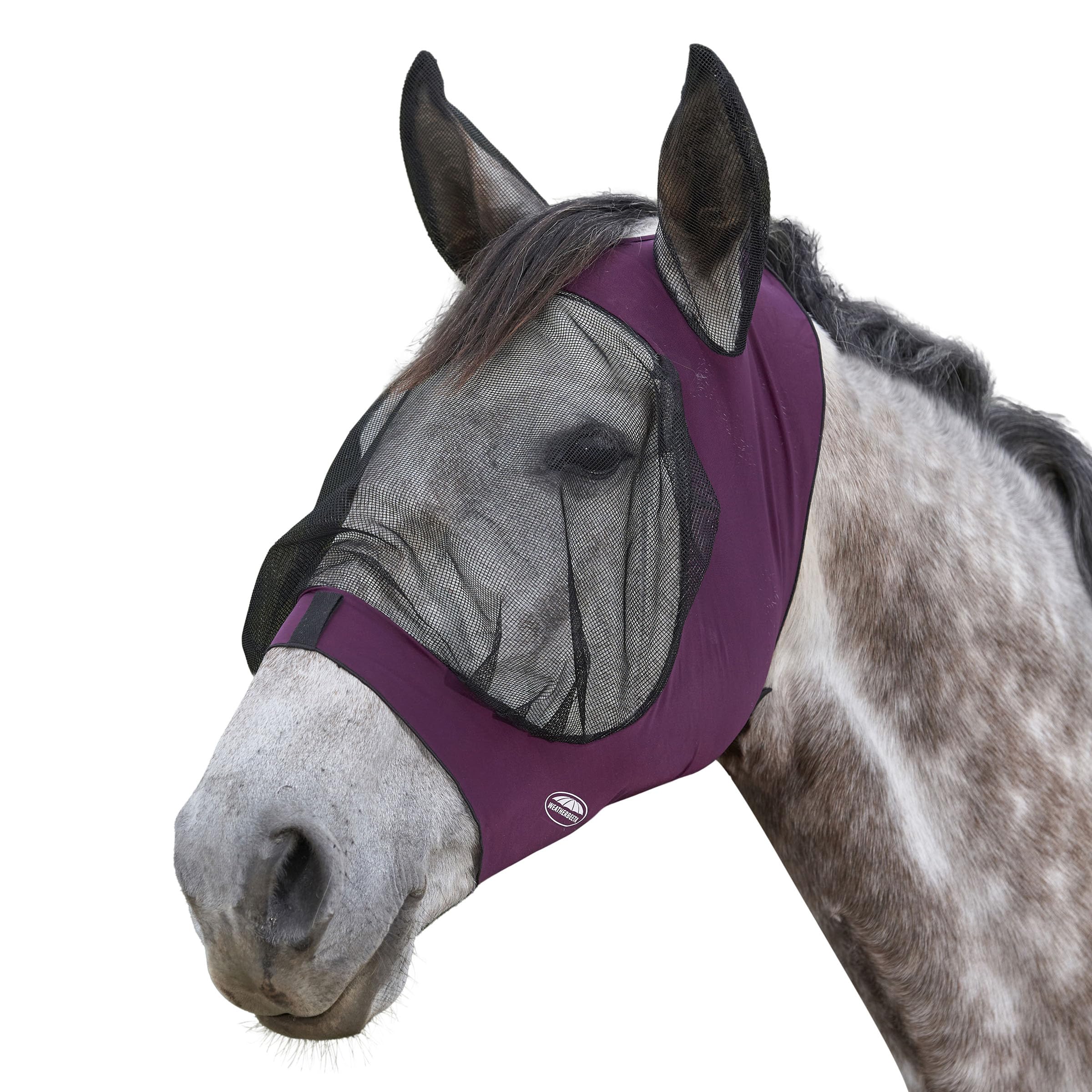 WeatherBeeta Deluxe Stretch Eye Saver with Ears, Purple/Black, Cob — image 1