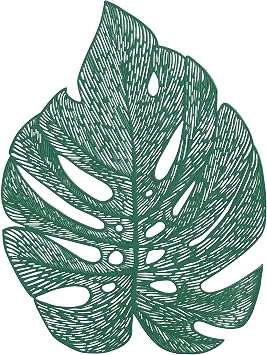 Home Details 4 Pack Leaf Shape Placemat, Kitchen, Dinning Room, Place Setting, Decor, Green