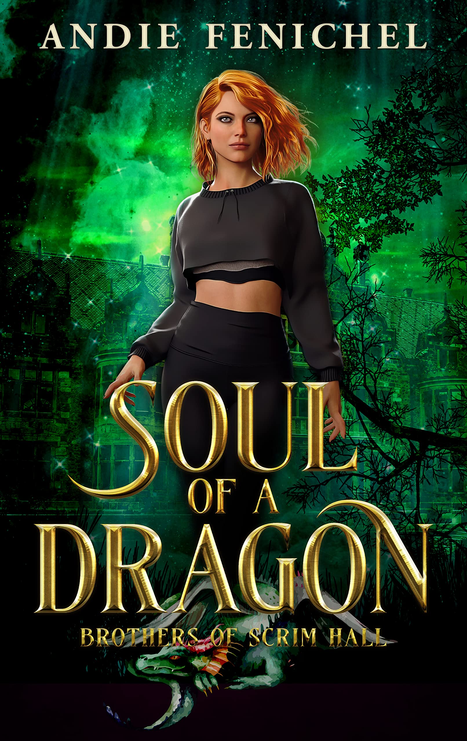 Cover of Soul of a Dragon