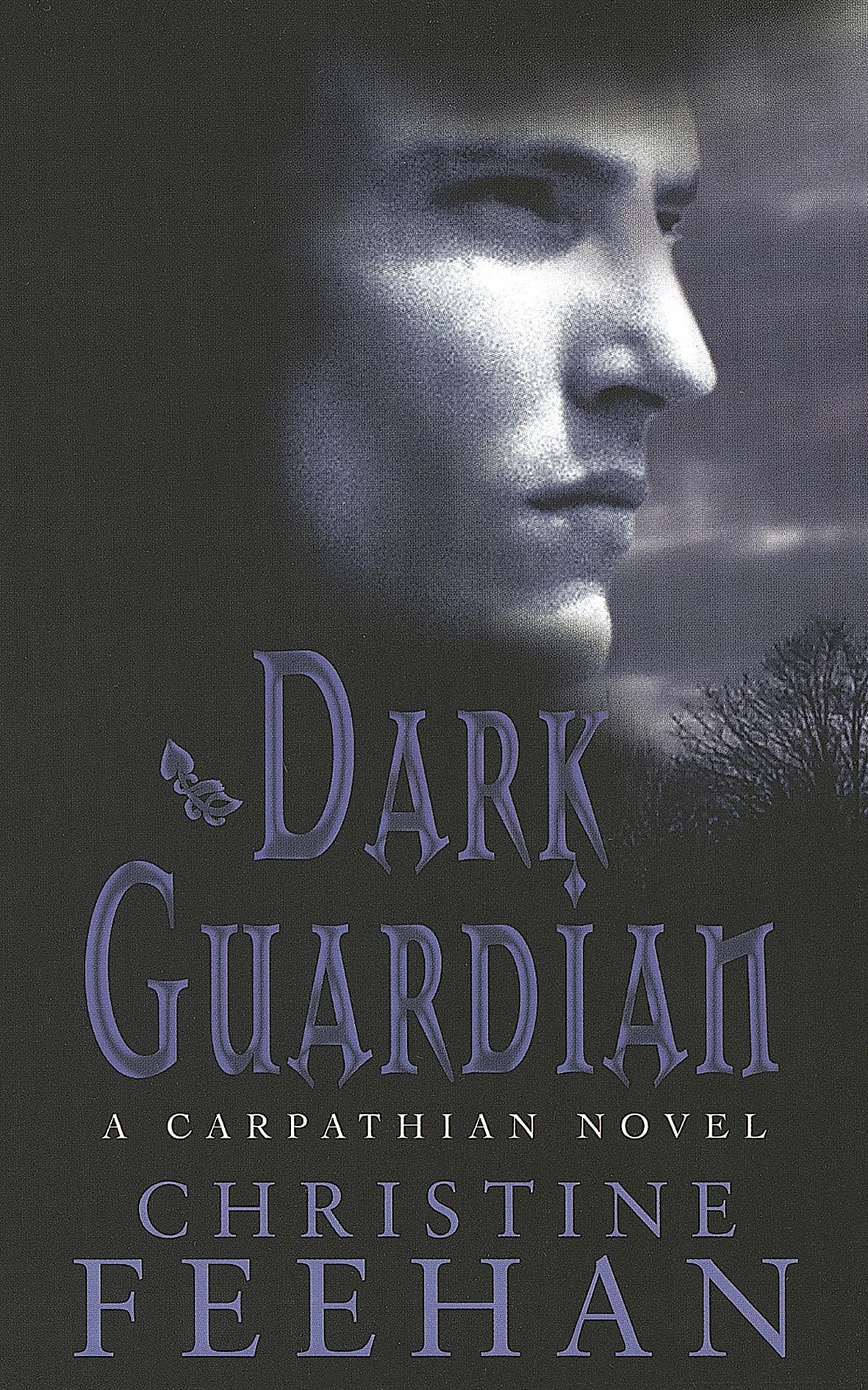 Dark Guardian: Number 9 in series (Dark Carpathian)
