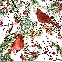 Vista 1 de Gift Boutique - 100 Servilletas de Cóctel de Navidad Cardinal para Bebidas de 3 Capas Desechables de Papel, Servilletas Decorativas Elegantes
