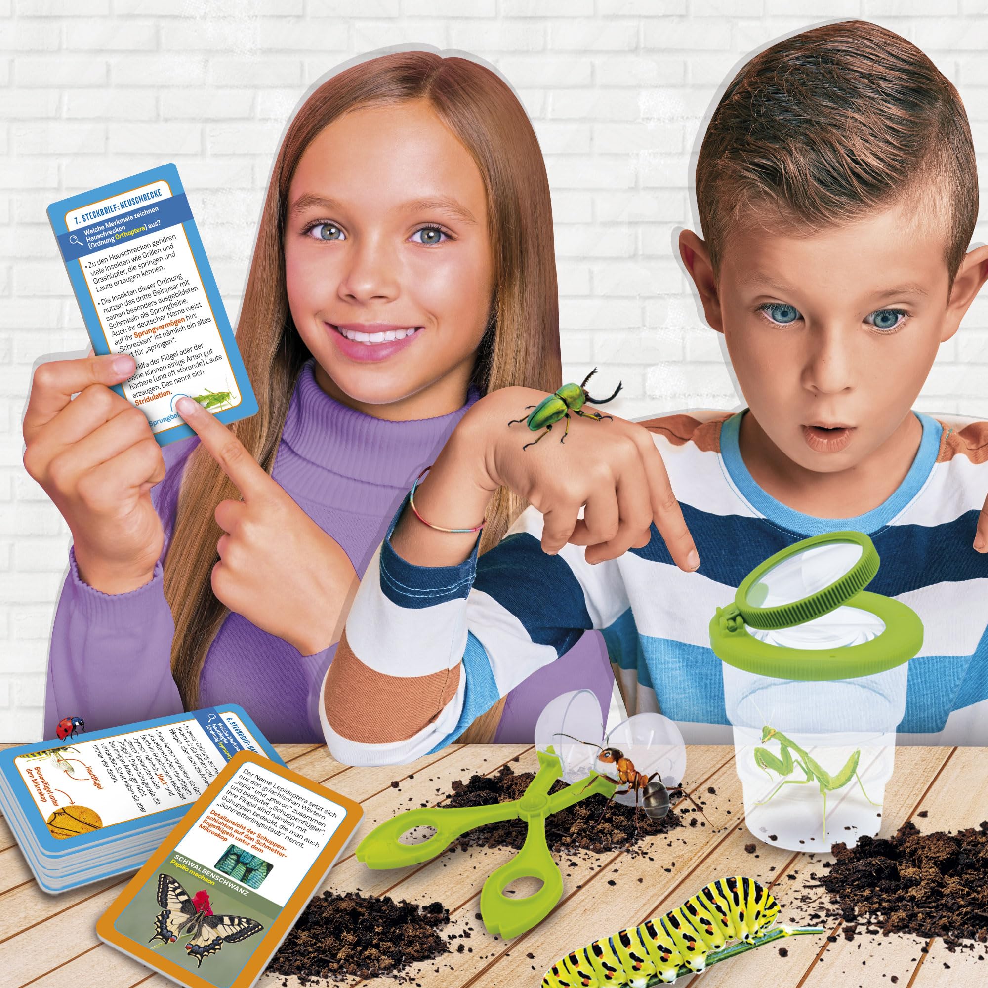 HCM Kinzel Kit De Cría De Insectos - Observa Orugas Convertirse En Mariposas Belle-Dame, Ideal Para Niños Y Aulas