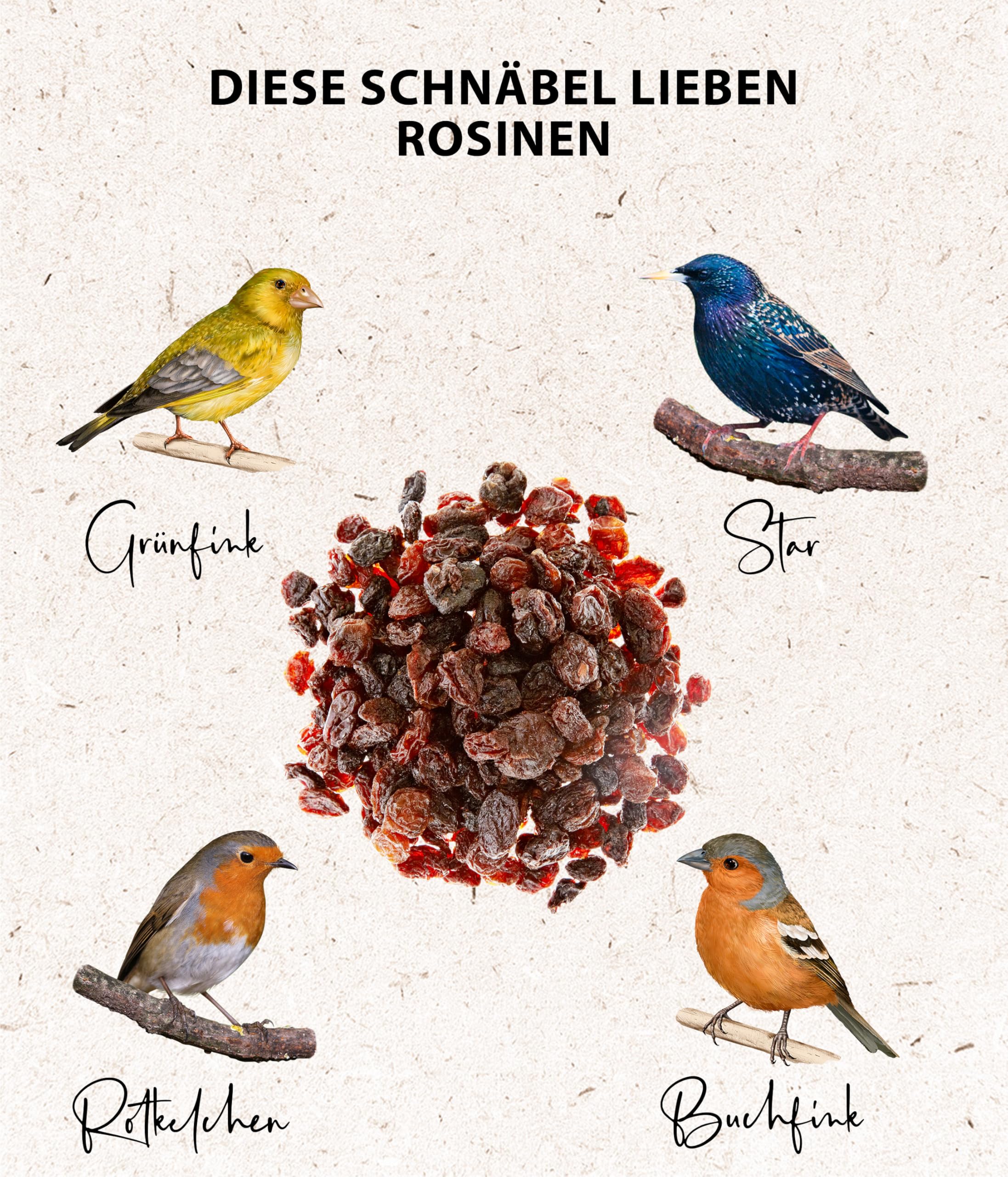 Mangime Per Uccelli Tutto L'anno Vermi Della Farina Essiccati 5kg - Mangime Ricco Di Proteine Per Uccelli Selvatici, Senza Pesticidi Vermetti Essiccati 5kg - Foto 4