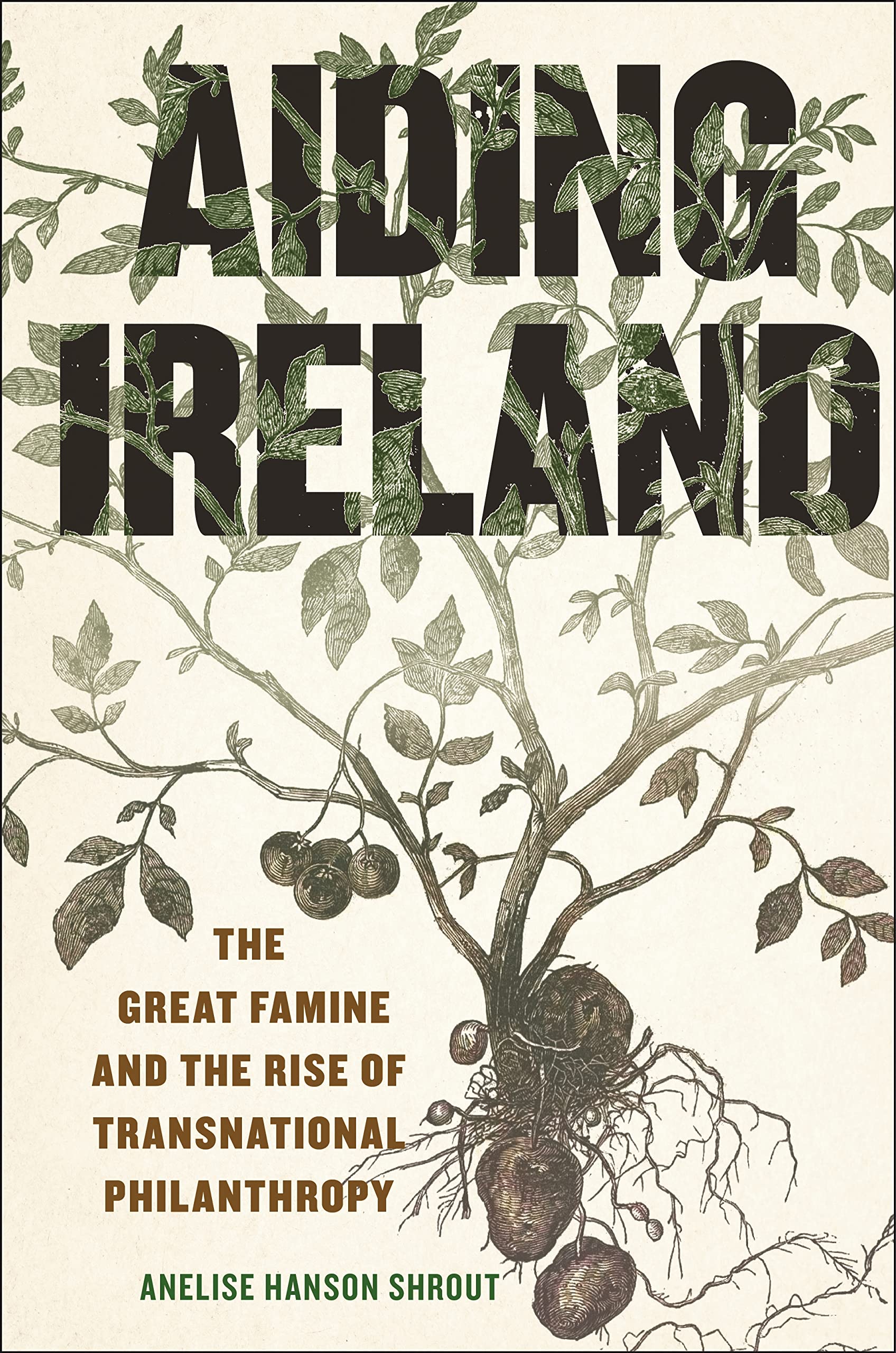 Aiding Ireland by Anelise Hanson Shrout HARDBACK 9781479824595