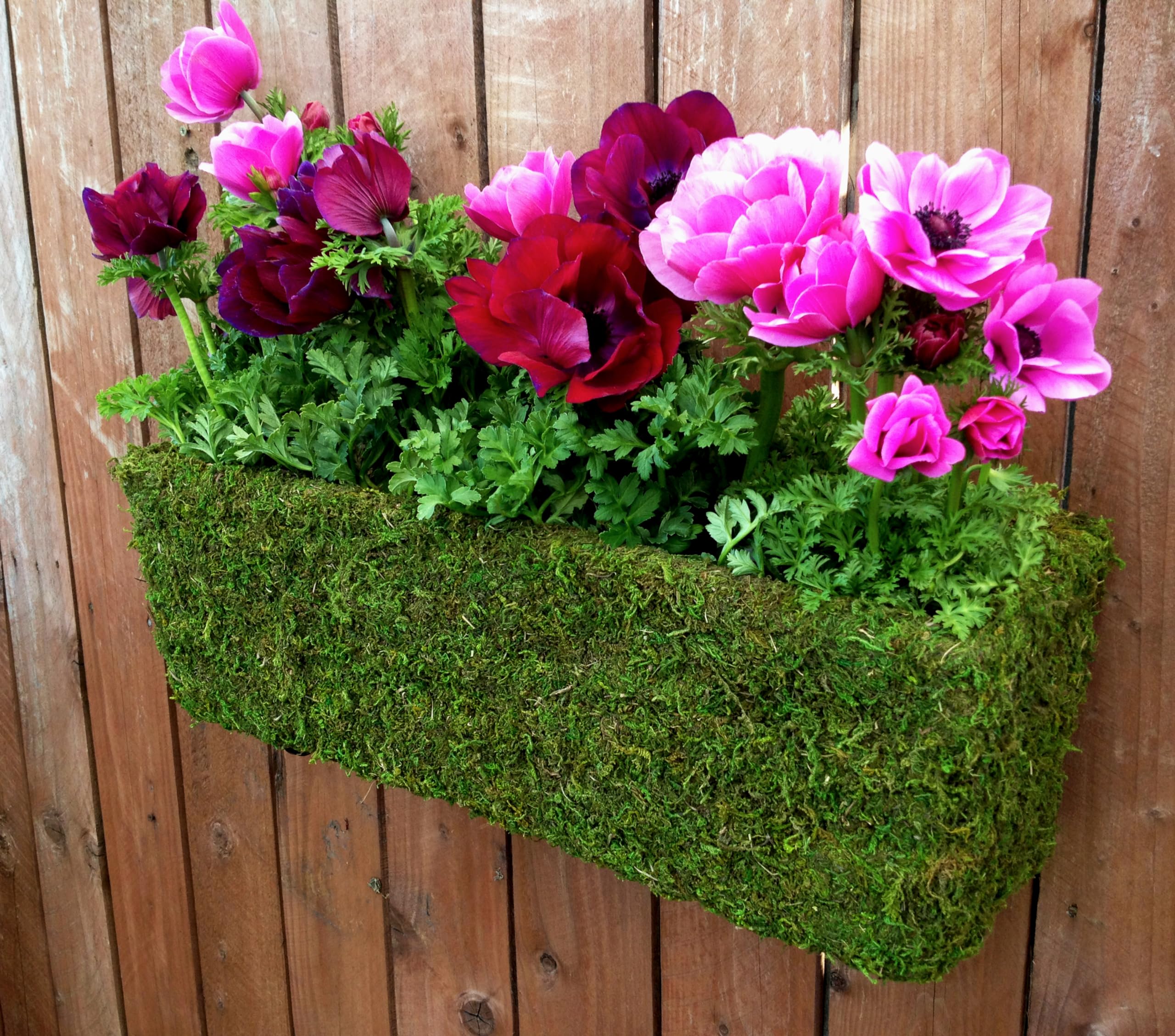 Amazon.com : SuperMoss (29360) MossWeave Window Box Planter, Fresh