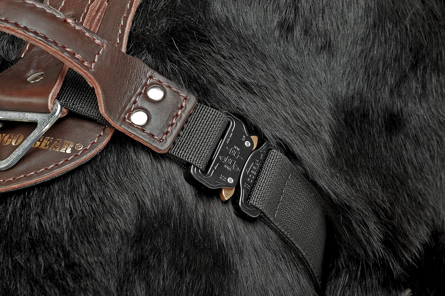 Dingo Gear Predator Stylish Leather Harness for Dog, Hand Crafted, HQ Dog Fashion, Fine Bronze, XL