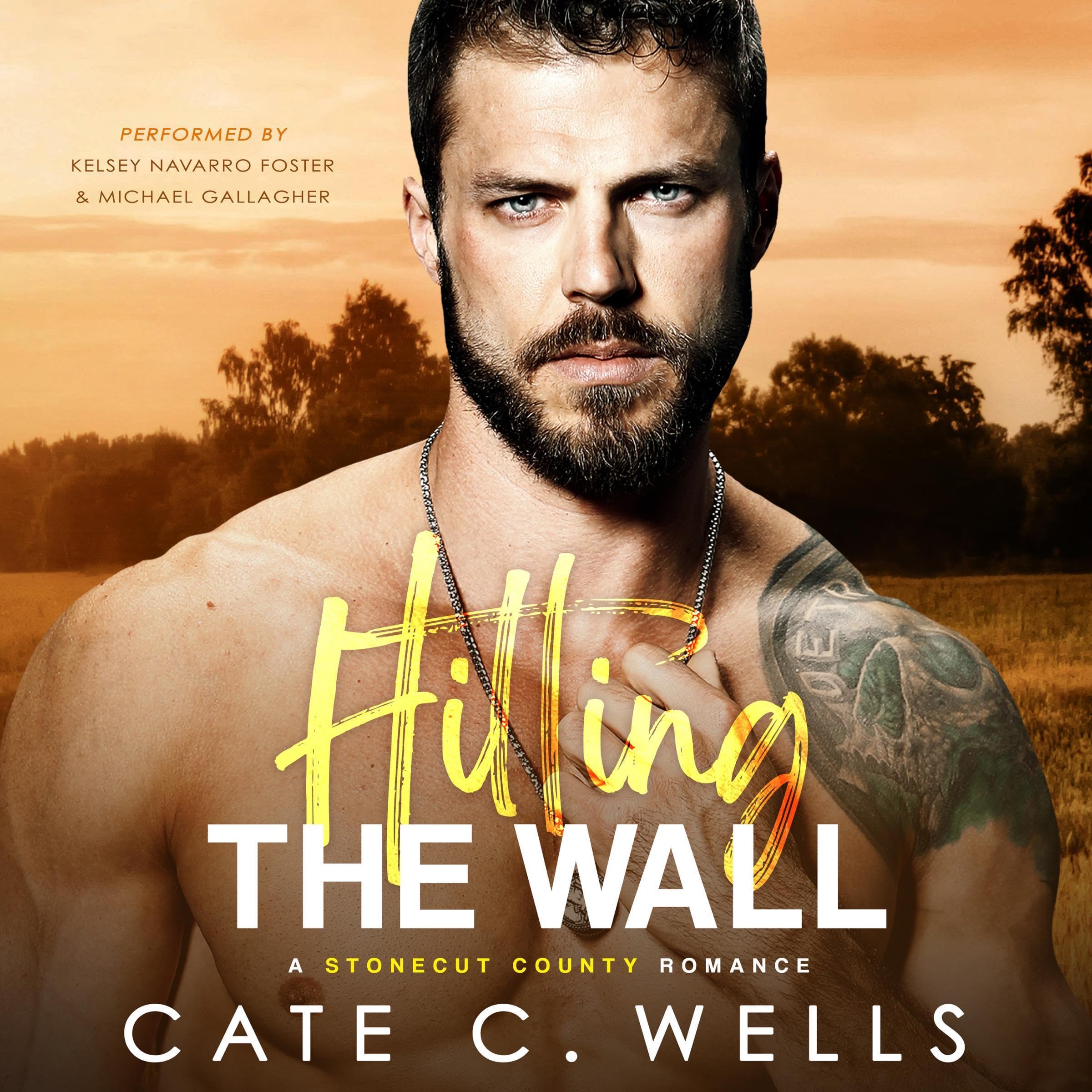 Cover art for Hitting the Wall