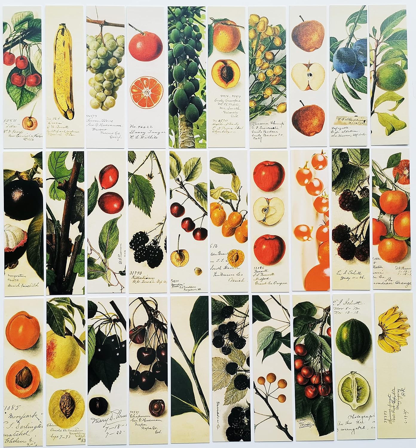 超希少 アンティーク水盤 中国骨董 陶芸長方花器 生花