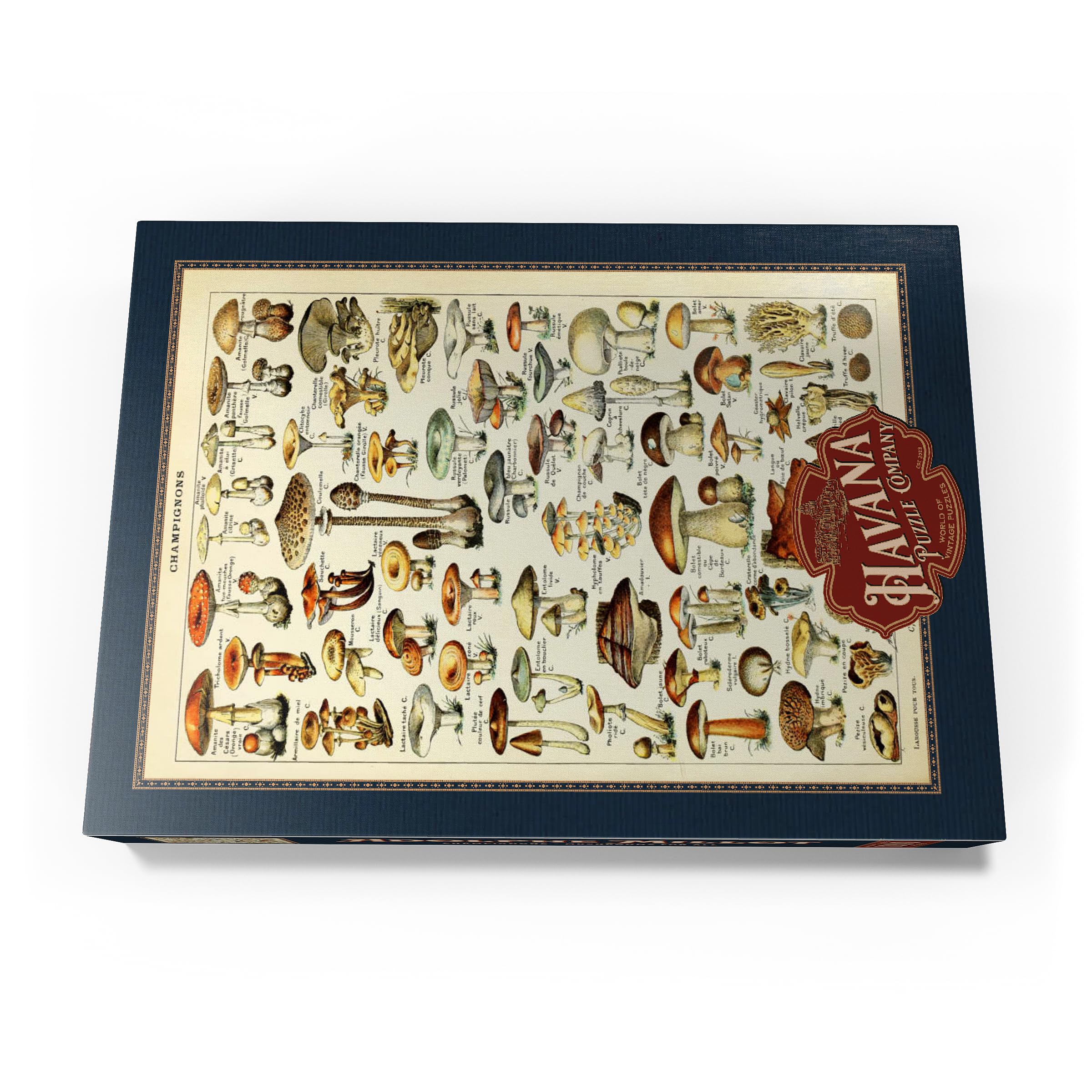 Champignons, Mushrooms for All Vintage Art Poster, Adolphe Millot, Premium 1000 pieces Puzzle - Image 4