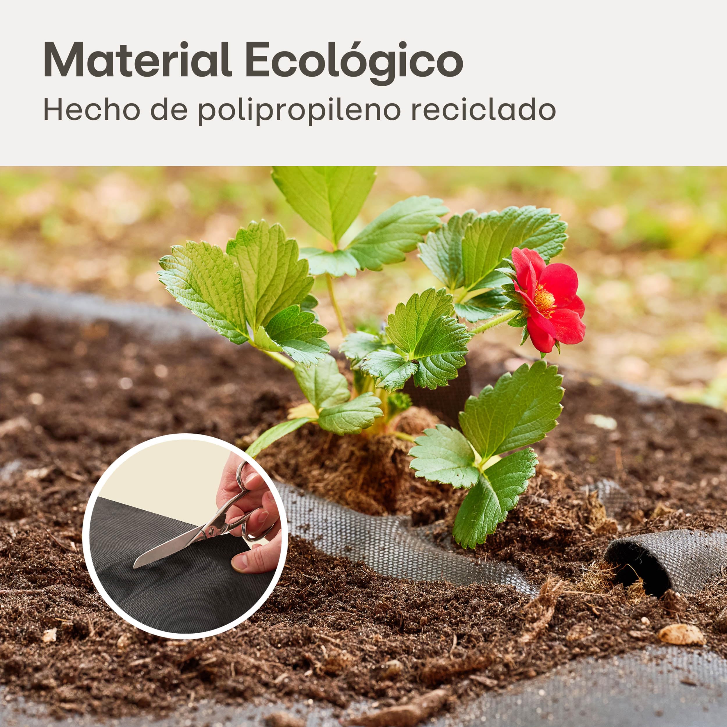 Praknu Malla Antihierbas Geotextil 50g/m² – 1 m x 50 Metro Rollo con 24 Anclajes – Transpirable, Resistente al Desgarro & UV – Malla de Mulching para Parterres & Cultivos de Temporada