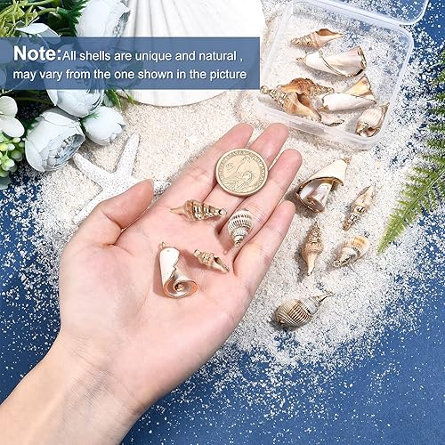 Miniatura 3 de SUNNYCLUE 1 caja de dijes de concha de cauri blanco natural, conchas de conchas galvanizadas, dije de verano, océano, mar, para hacer joyas,