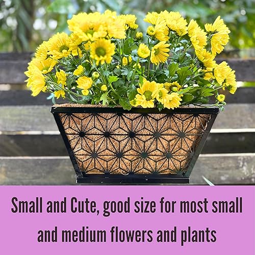 Miniatura 6 de LaLaGreen - Macetas de ventana para plantas de exterior (paquete de 2, 12 pulgadas), macetas rectangulares pequeñas y lindas de metal negro con