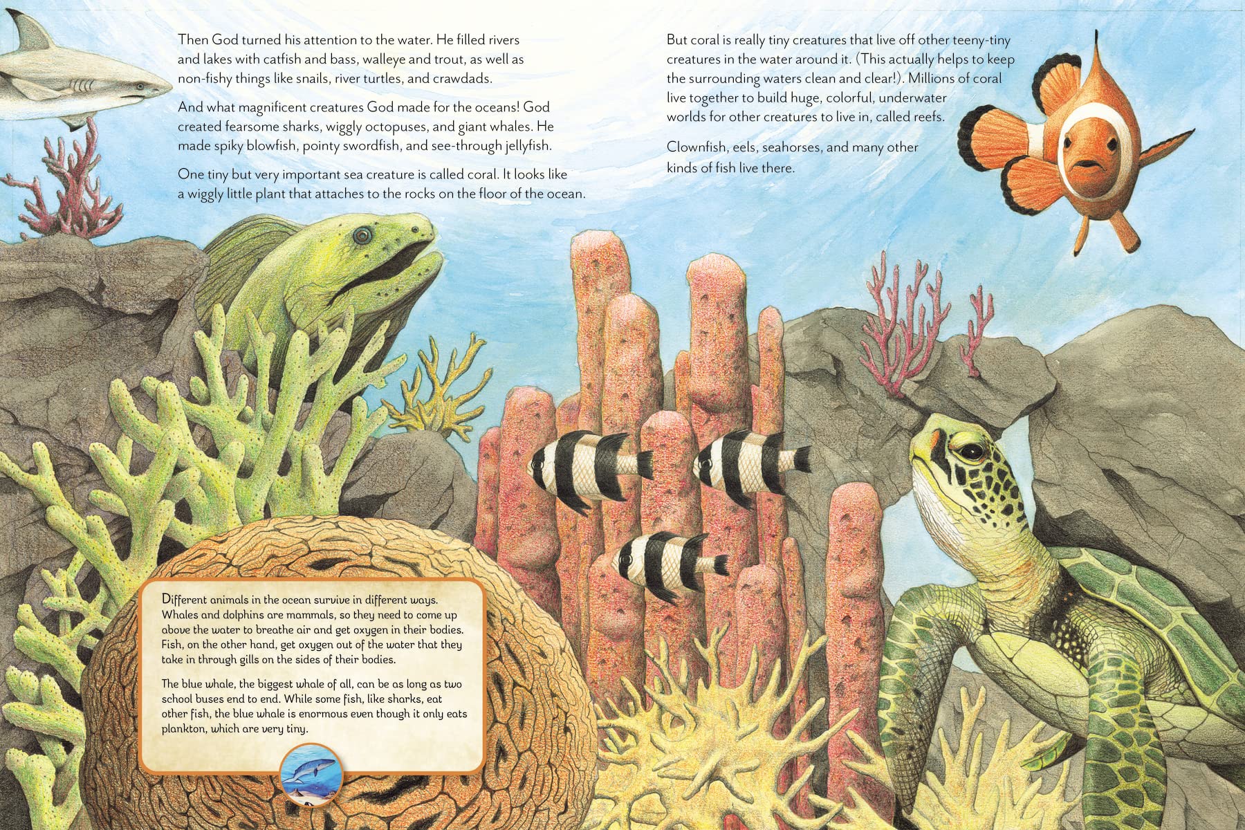 The Things God Made: Explore God's Creation through the Bible, Science, and Art - Image 6