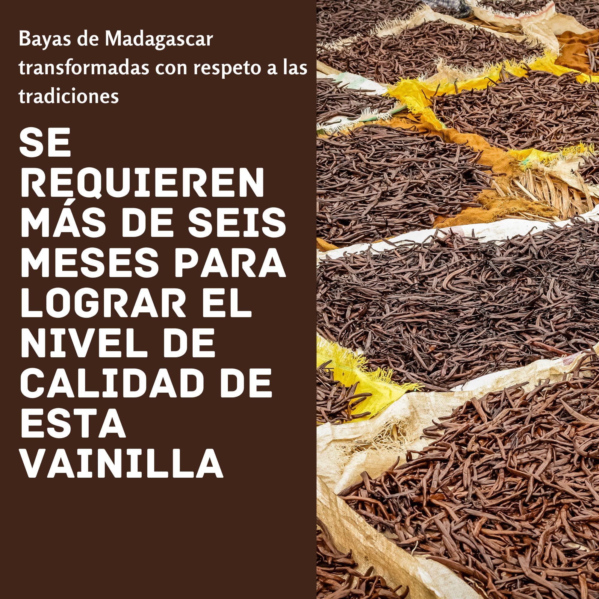 Esencia de Vainilla para Repostería, Formato Grande de 100 ml, Aroma Saborizantes sin Azucar para Postres, Vainilla Liquida Bourbon de Madagascar, Extracto Natural con Alcohol, Sin Gluten