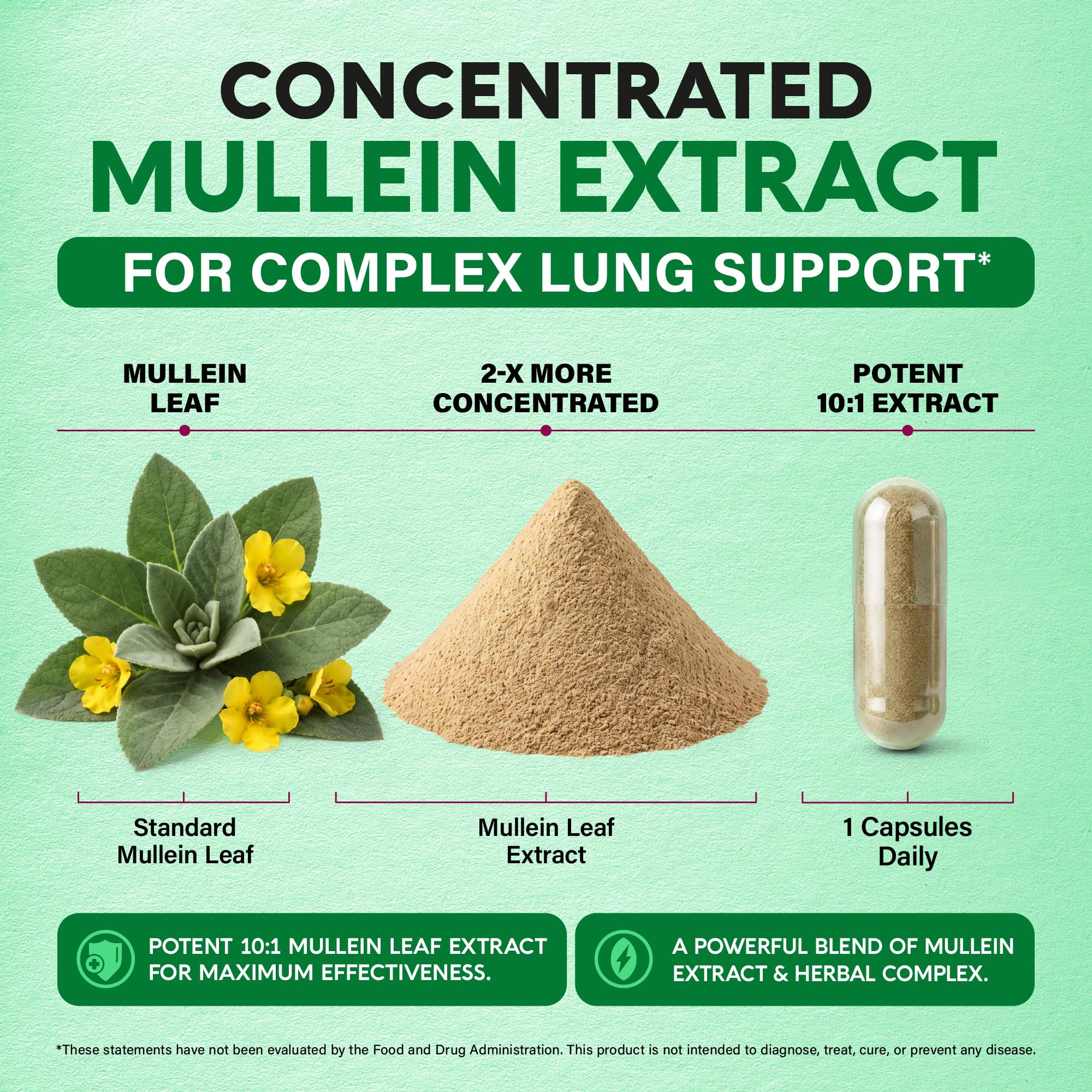 Mullein Lung Detox - Mullein Leaf 10:1 Extract Supplement - 60 Vegan Caps — Amazon image 7