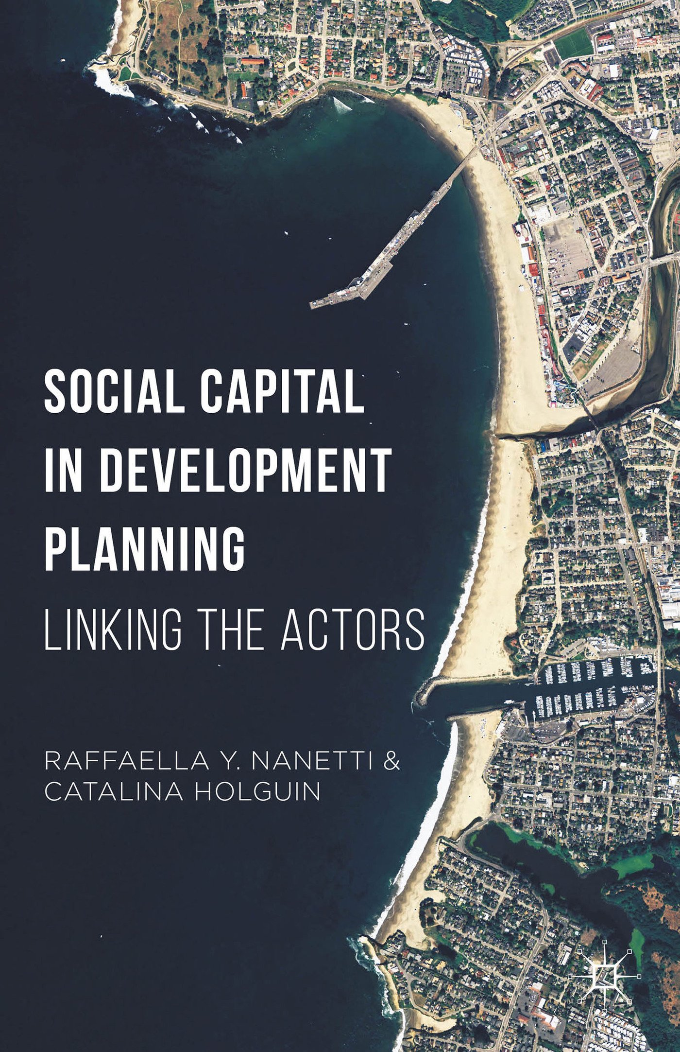 Buy Social Capital in Development Planning — BookShops.in