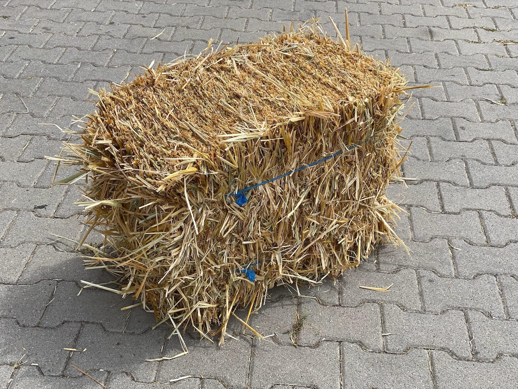 Strohballen Kaufen In Der Nahe