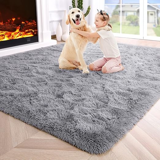 Noahas Fluffy Area Rugs for Bedrooms,4 x 6 Feet Grey Shag Rugs for