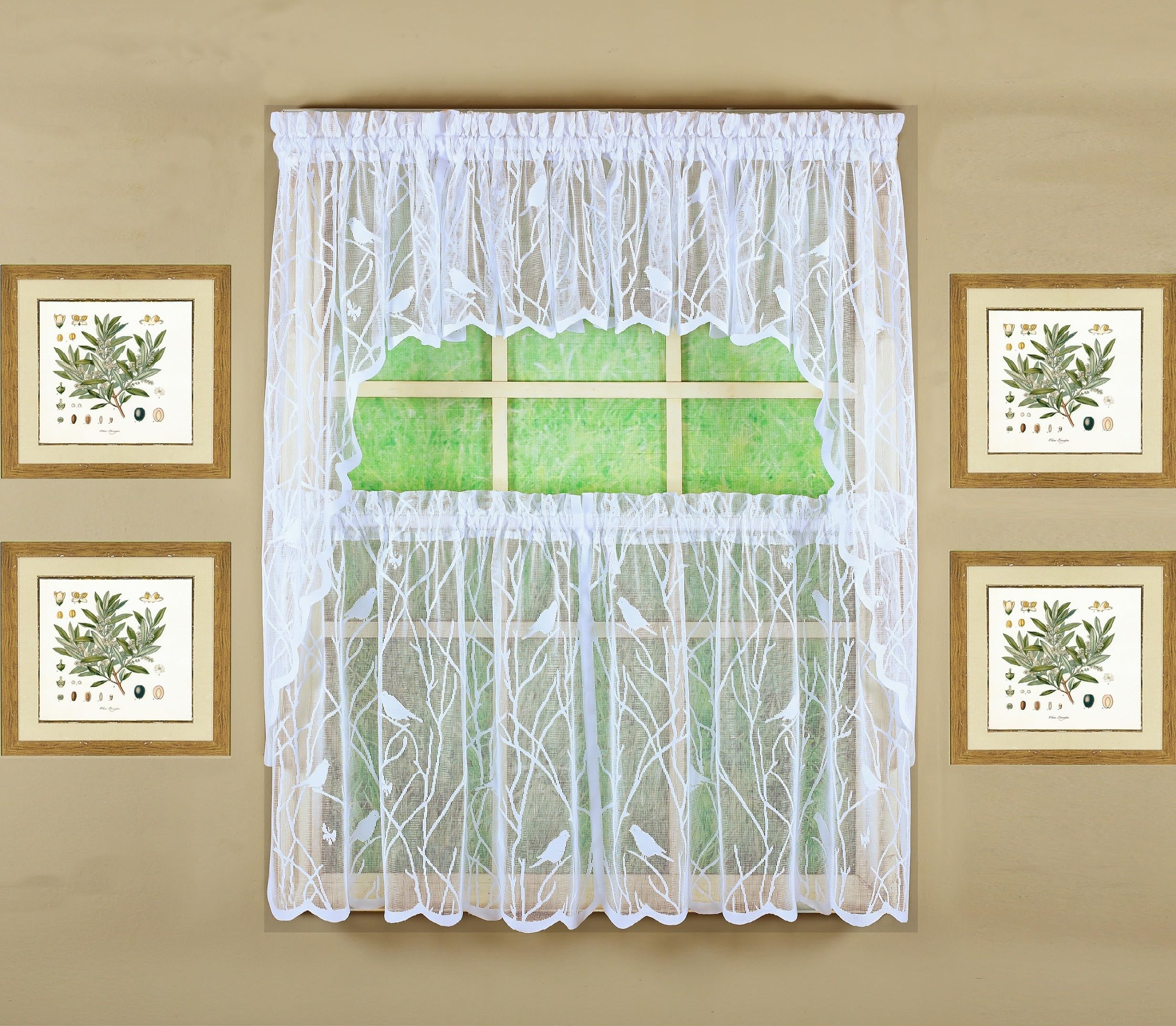 Today's Curtain, Songbird Semi-Sheer Lace Tier 36", White, 56" W x 36" L