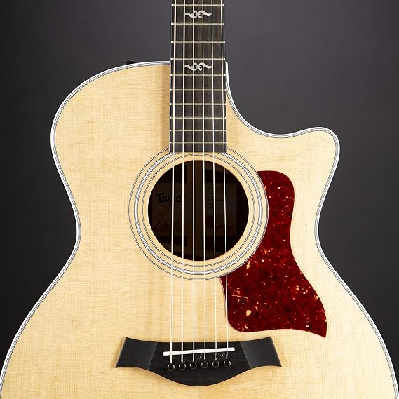 Taylor Guitars 414ce-R V-Class Grand Auditorium Guitarra Acústica-Eléctrica  : Instrumentos Musicales - Amazon.com