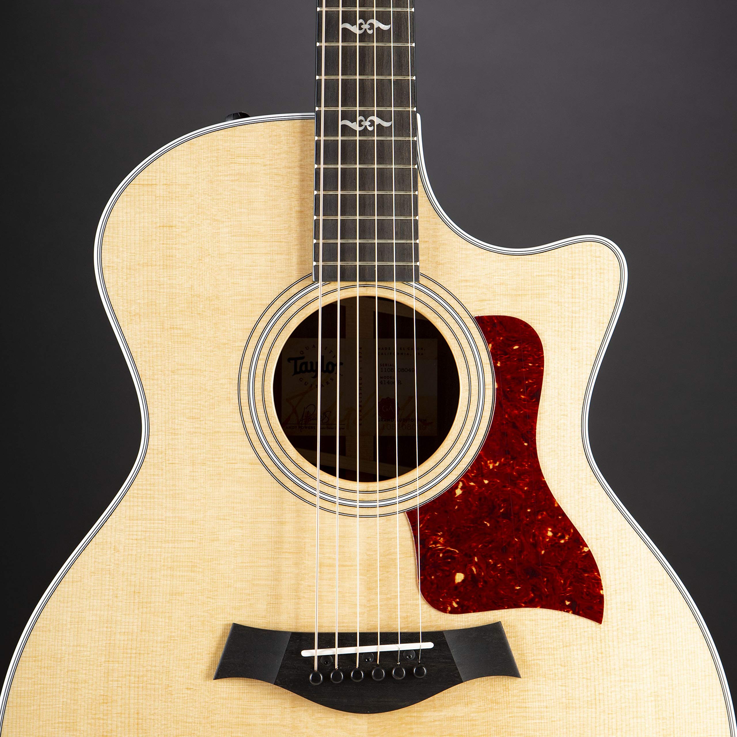 Amazon | Taylor 414ce Rosewood エレアコギター テイラー