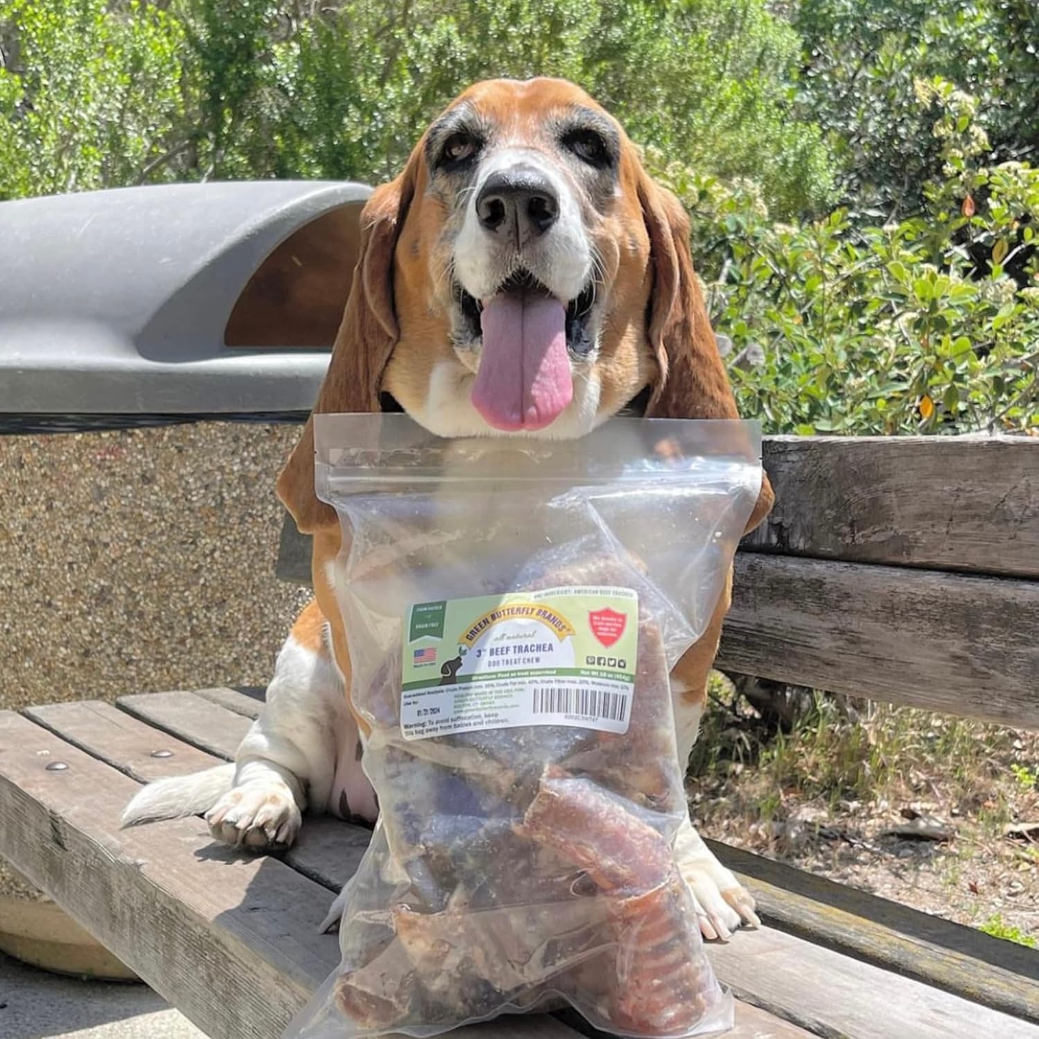 Dog Chews – Beef Trachea Dog Treat Chew Made in USA. Grass Fed Farm-Raised American Beef. Glucosamine Rich for Healthy Joints. All Natural Dental Chew (3" 16 OZ)
