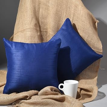 Decorative Throw Pillow for Couch Sofa Bed 2 Pack | Boho Living Room Decor Pillows | Accent Farmhouse Throw Pillow | Silk Polyster Solid Pillows Blue, 20x20