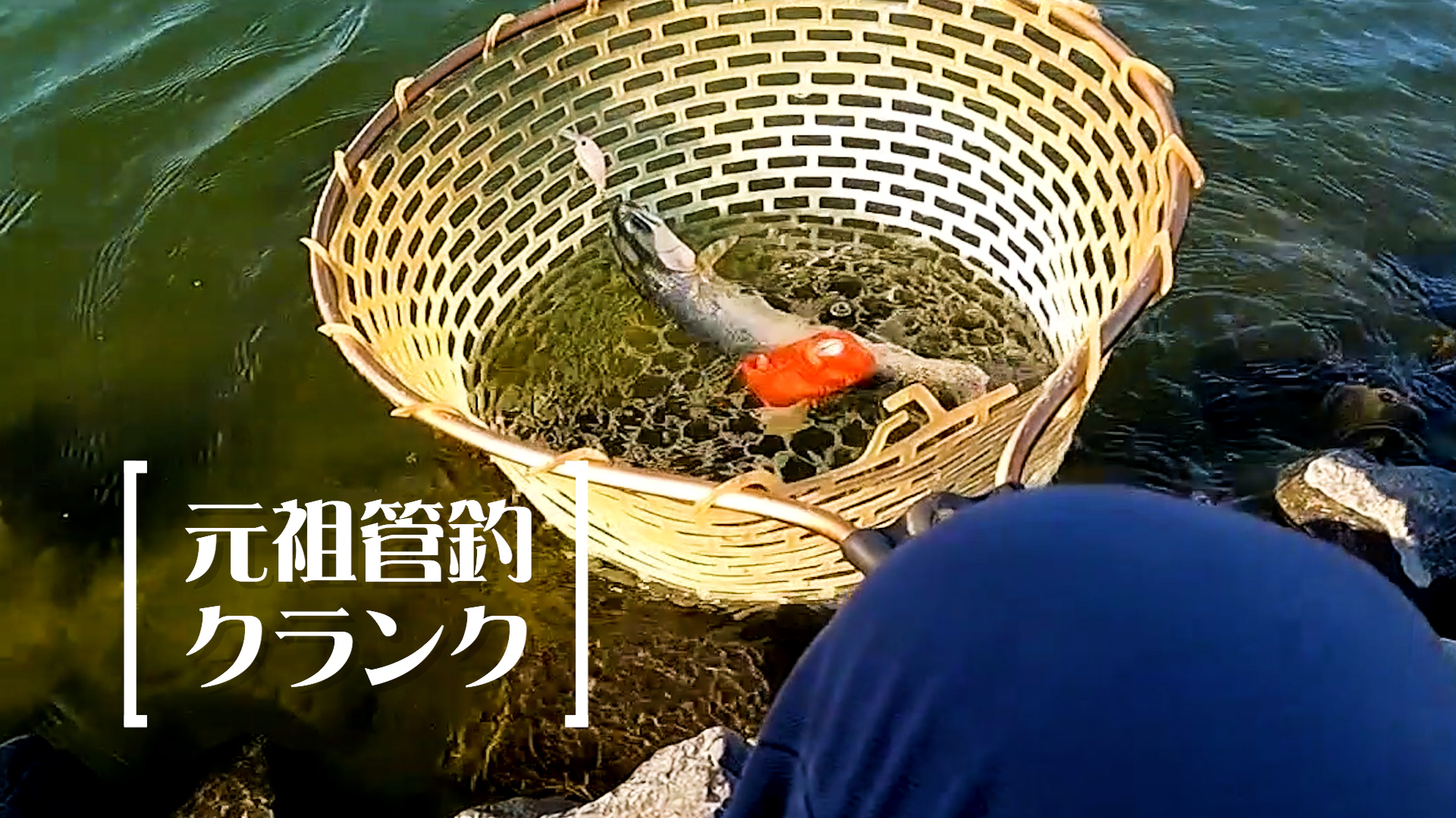 Amazon.co.jp: ラッキークラフト(LUCKY CRAFT) シャロークラピー(AM