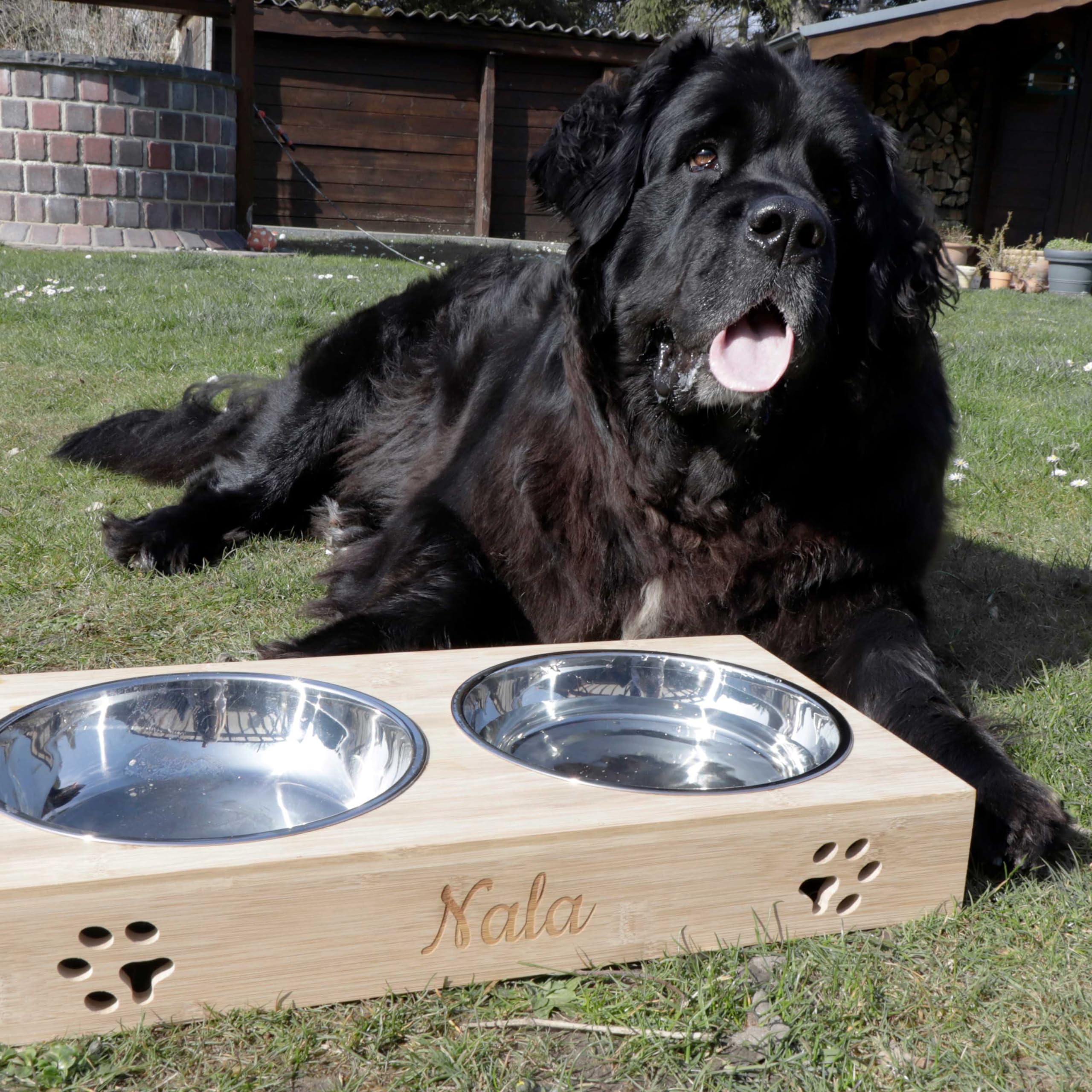LAUBLUST Stazione di alimentazione con nome personalizzato per cani - Naturale | 49x26x7cm, rialzata - Ciotola per cibo e acqua per gatti | 2 ciotole in acciaio inox x 1,4L | Ciotola per gatti incisa