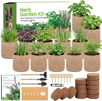 12 Herb Garden Kit - Indoor Herbs Seeds Growing Kit Gardening Gift Birthday Housewarming Christmas Gift for Women Her Men, Complete Starter Set for Beginner