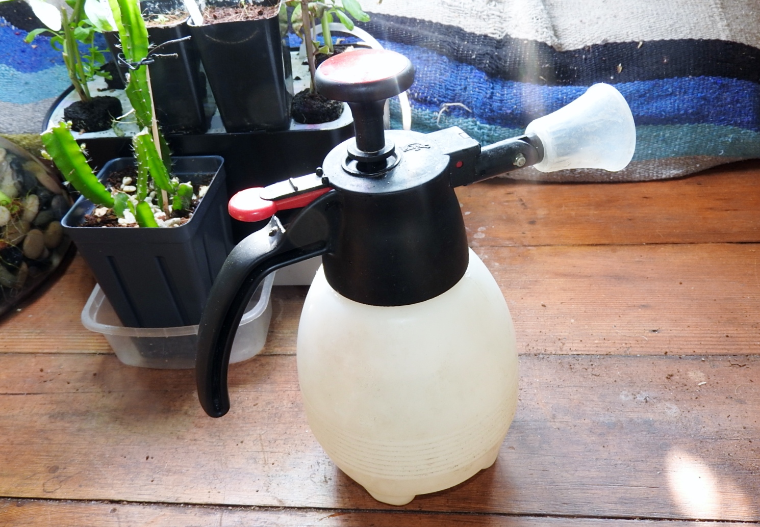 Watch Solo 418 One-Hand Pressure Sprayer on Amazon Live