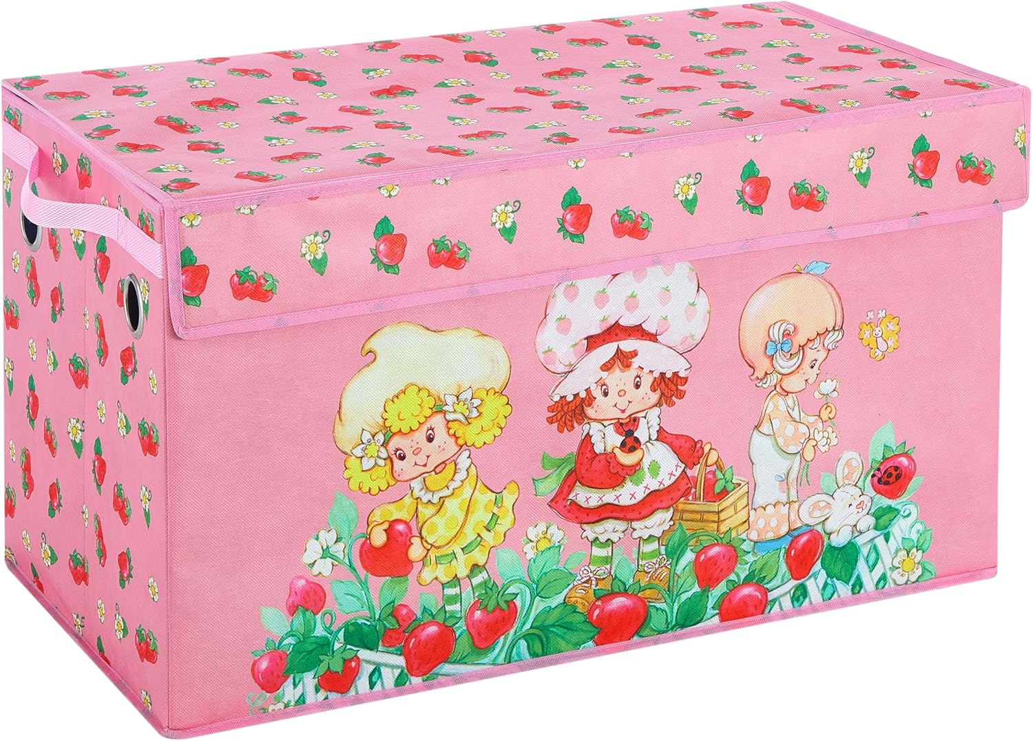 Strawberry Shortcake Collapsible Storage Trunk with Lid,Large Durable Kids Toy Box Organizer for Bedroom &Playroom,28.5"x14.5"x16"