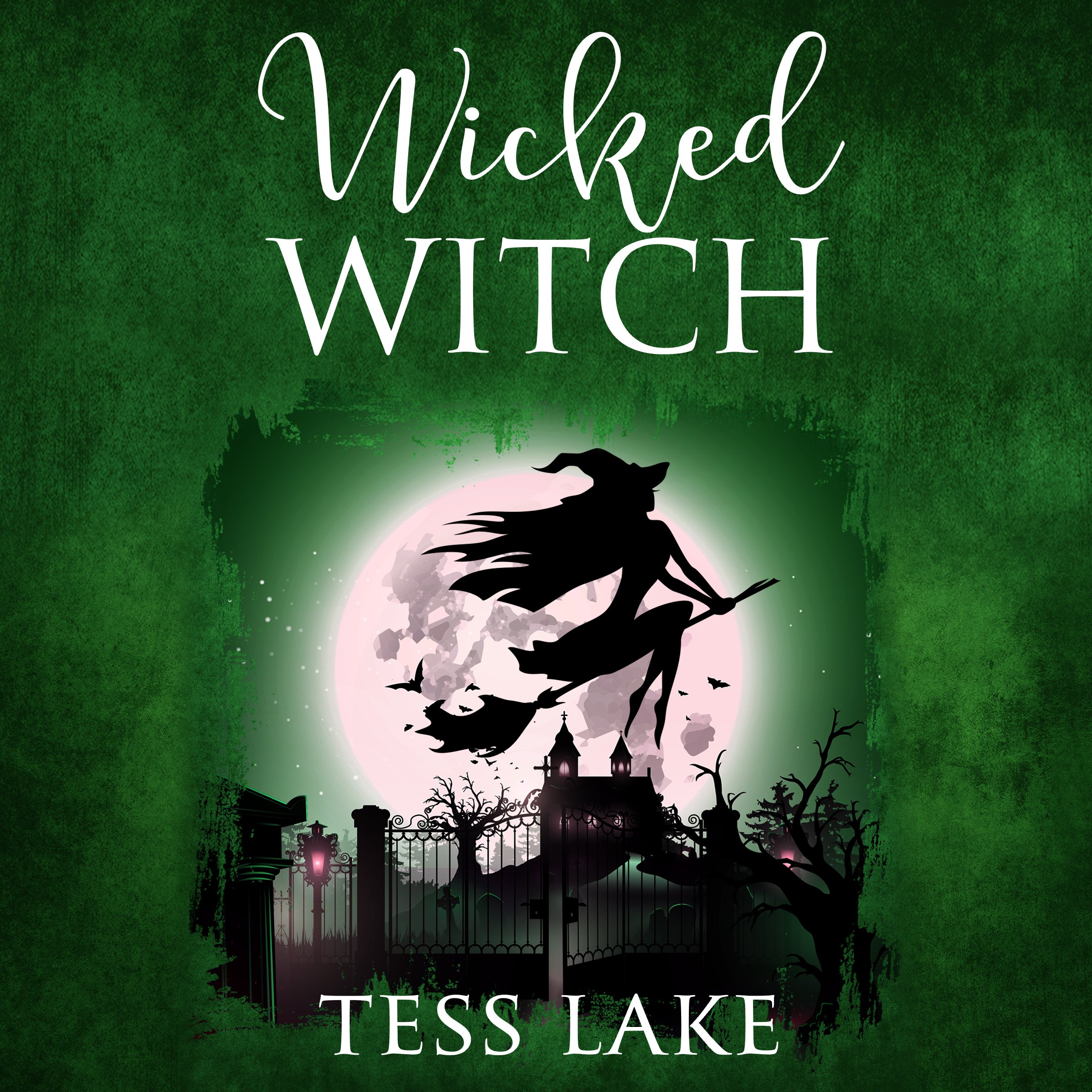 Cover art for Wicked Witch