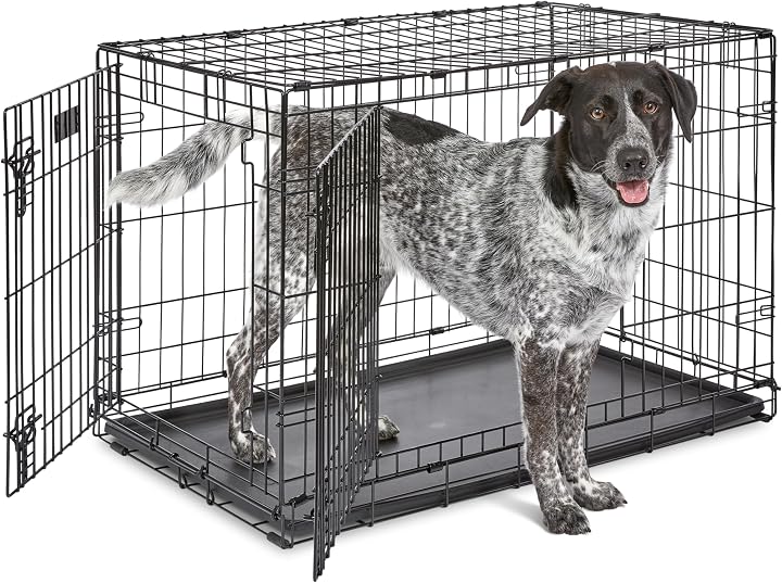 Transparent editorial object representing pets