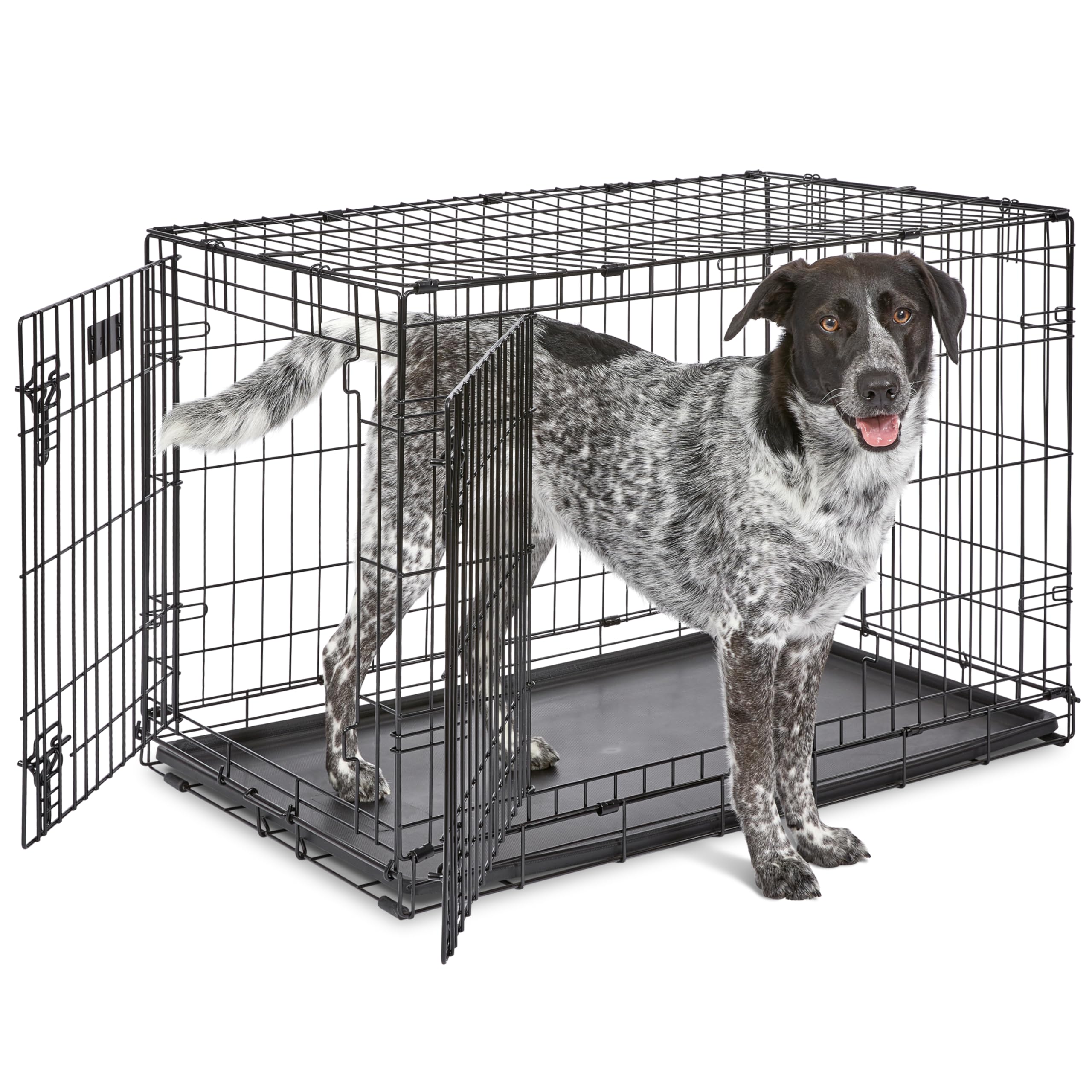 MidWest Homes for Pets Gabbia per cani iCrate a due porte, lunga 90,42 cm, con vaschetta a tenuta stagna, piedini protettivi, pannello divisorio e caratteristiche brevettate, nero, Modello 1536DDU