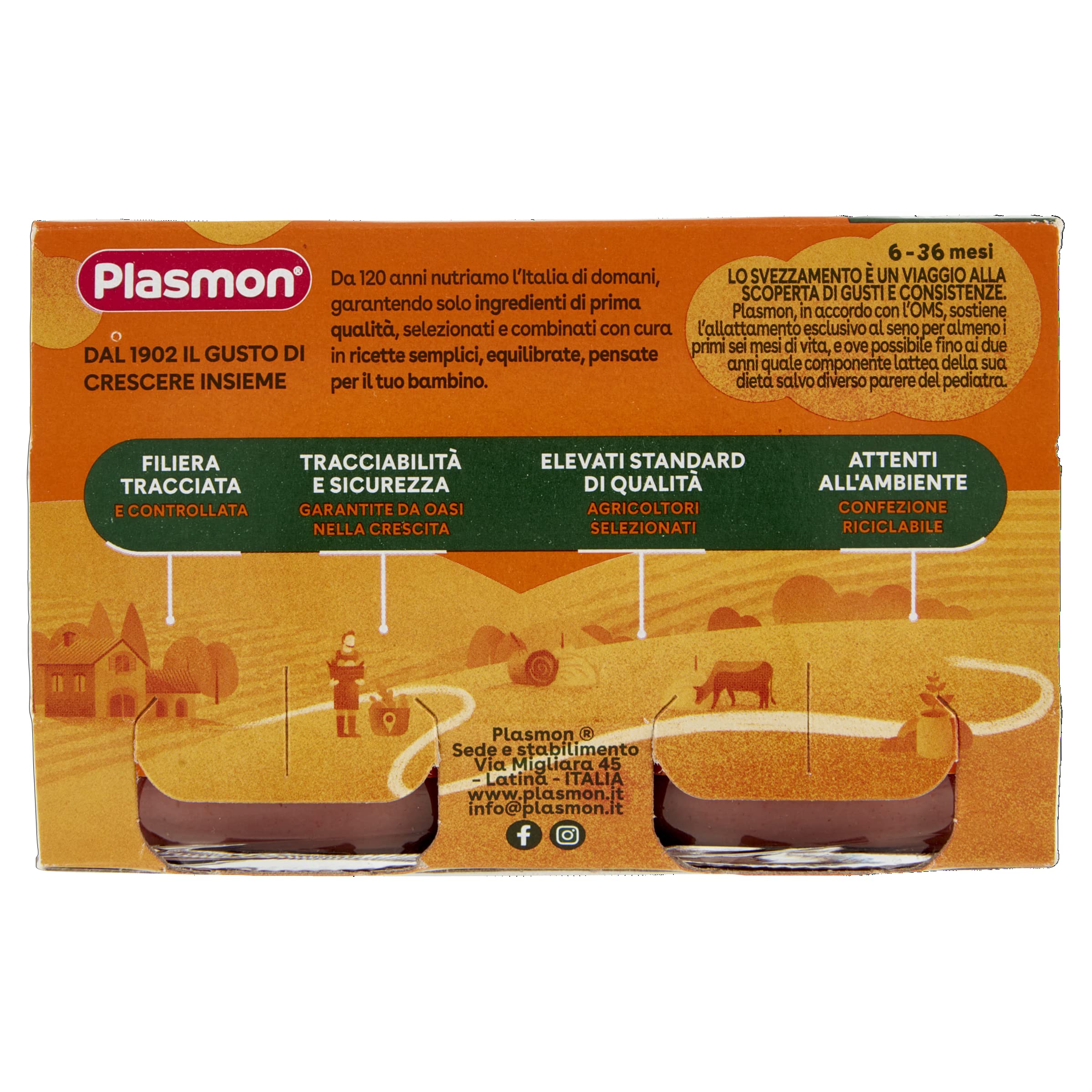 Plasmon Omogeneizzato Scoperte di Gusto Manzo e carote, 2x120g (12 Confezioni)