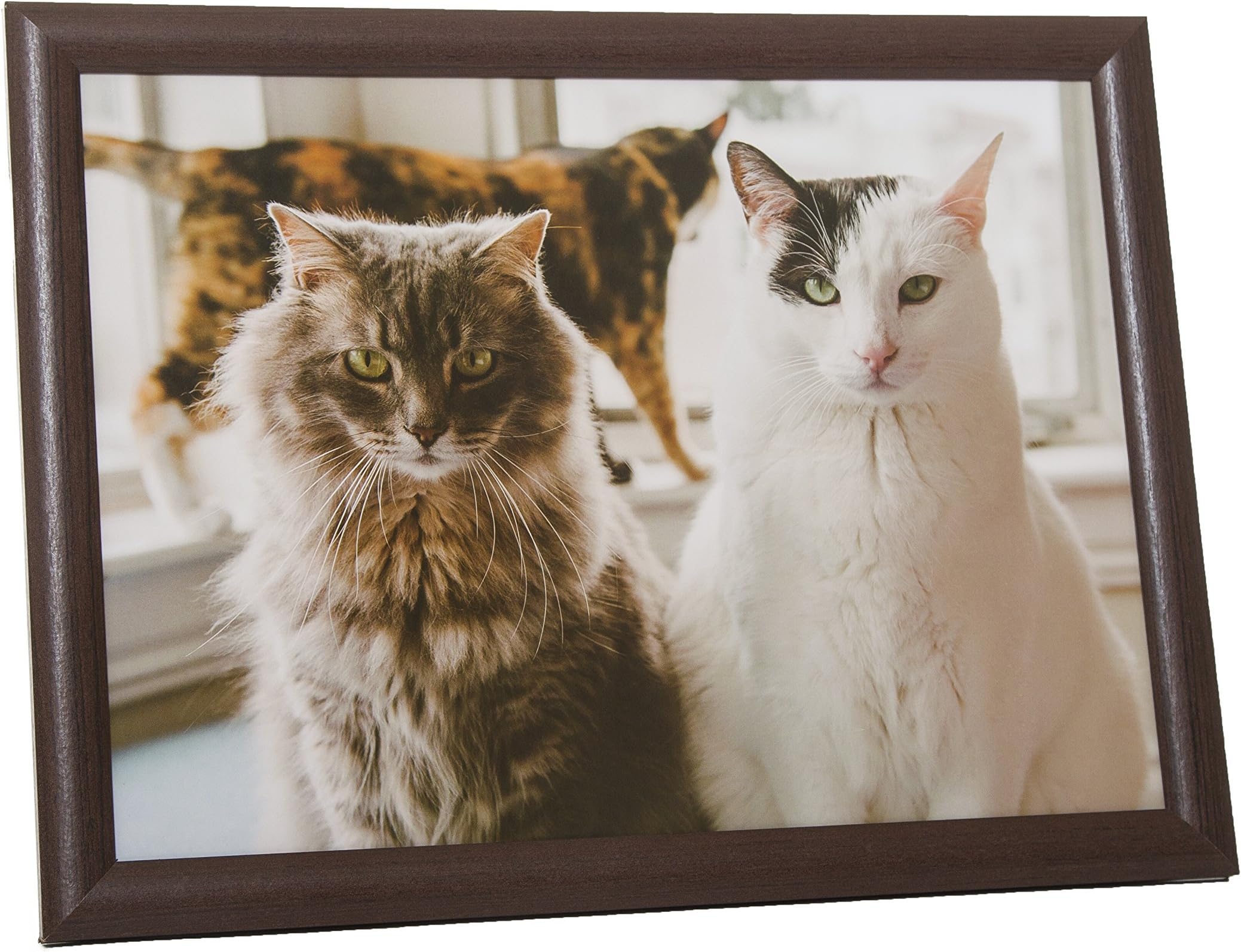 Country Matters Lap Tray Cat Trio, Cotton/Polystyrene/Ply Board, Multi-Colour, 43 x 32.5 x 6.5 cm