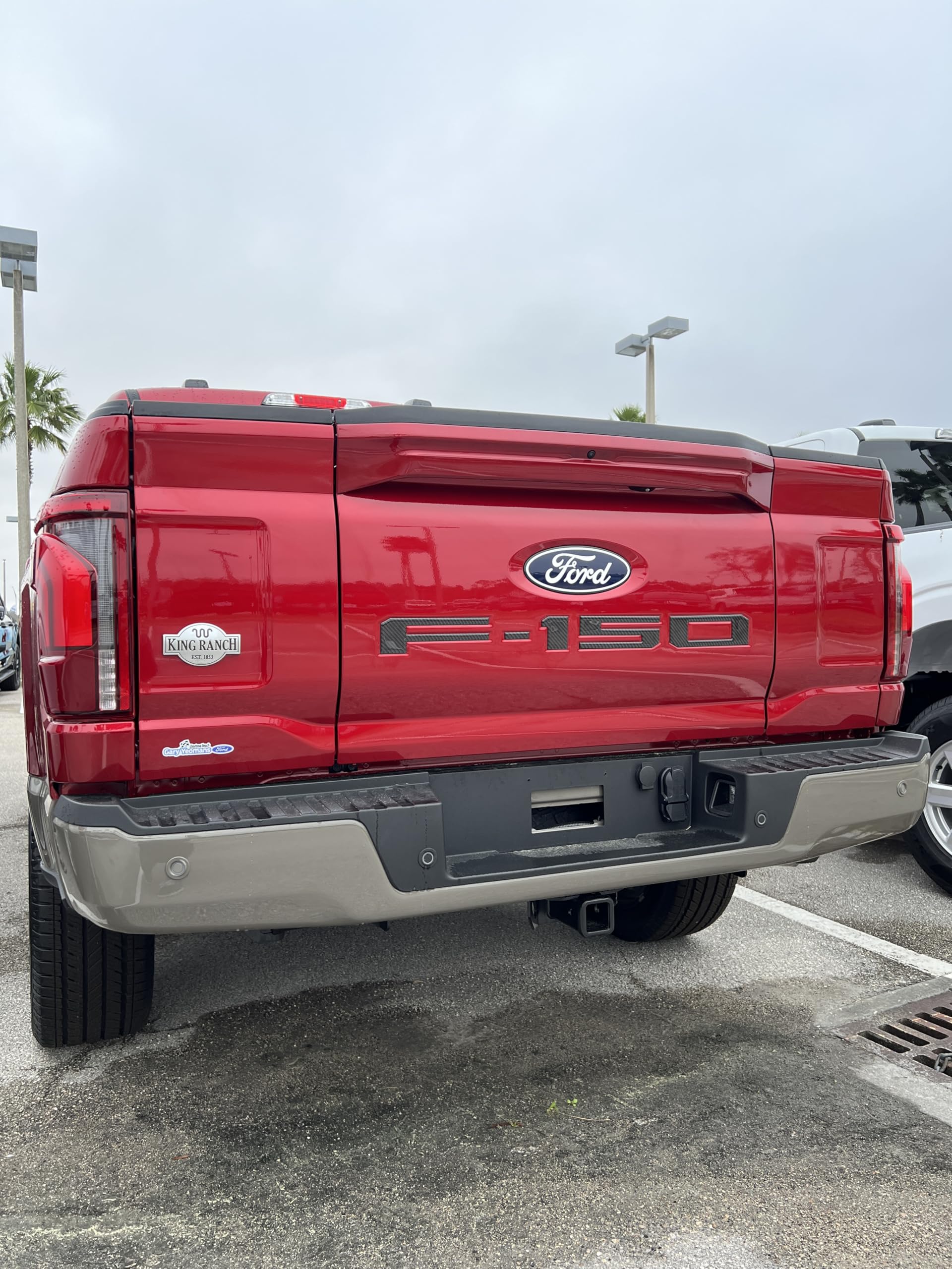 F-150 Tailgate Emblem Letter Inserts - Compatible with 2021-2026 F-150