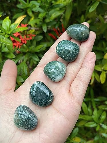 Miniatura 5 de GAF TREASURES Piedras pulidas de ágata musgo al por mayor, piedras preciosas de ágata musgo natural pulidas, cristales curativos de ágata musgo