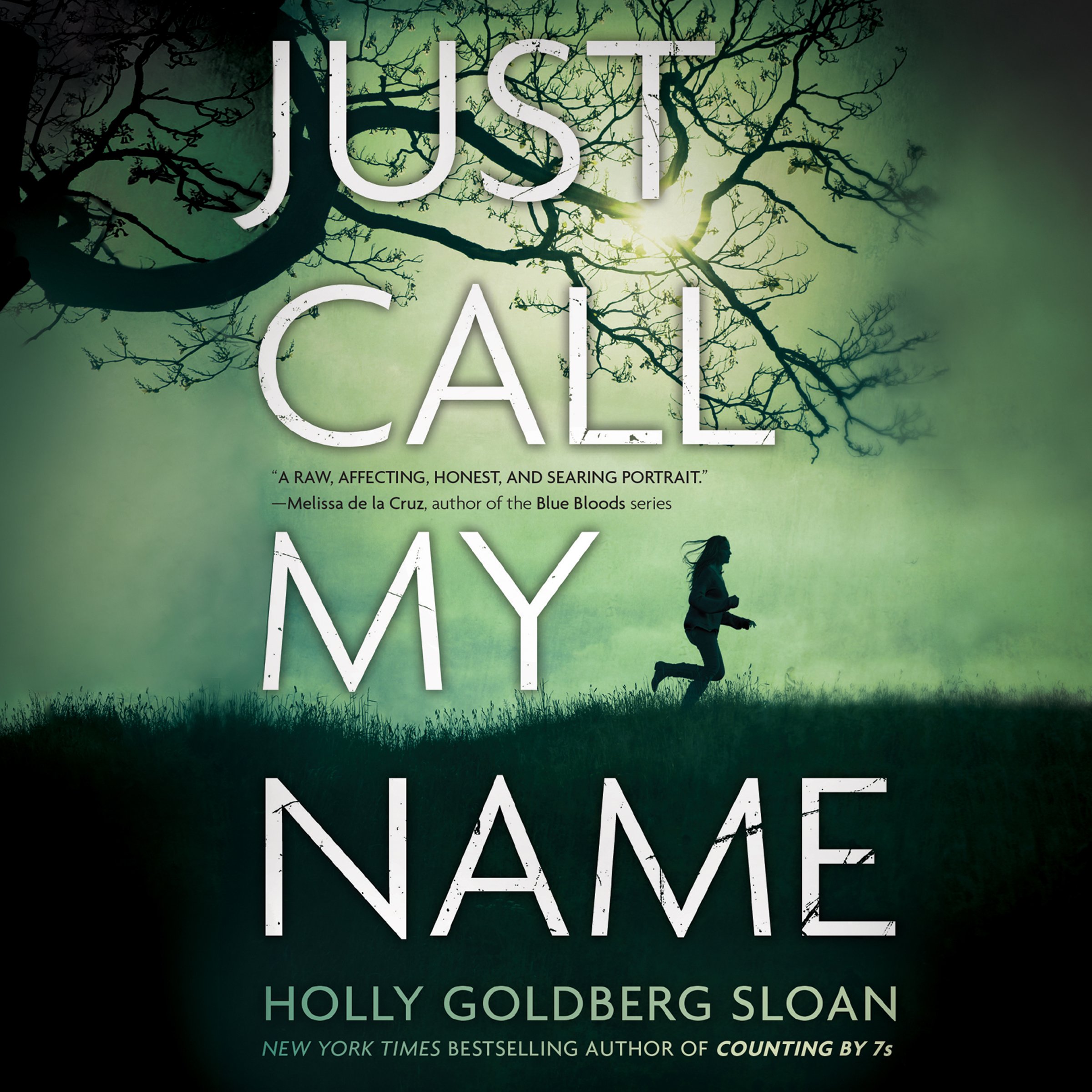 Cover art for Just Call My Name