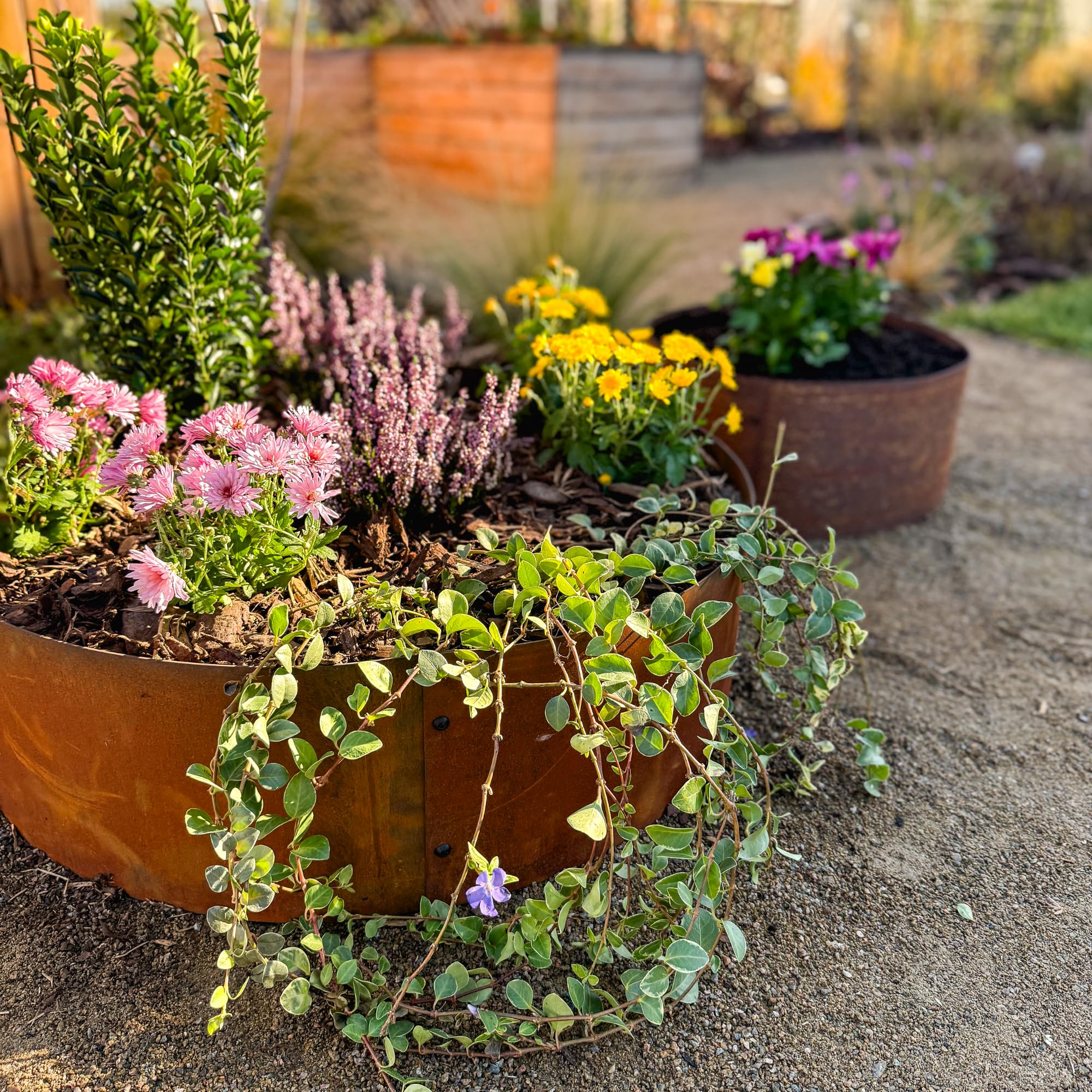 UNIGARDIA Bordura da Giardino per Alberi in Acciaio Corten Ø 100 cm, Altezza 20 cm - Bordura per Aiuola in Metallo Circolare - Installazione Facile, Accessori e 1 Paio di Guanti Inclusi