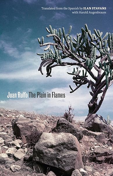 The Plain in Flames (Joe R. and Teresa Lozano Long Series in Latin American and Latino Art and Culture)