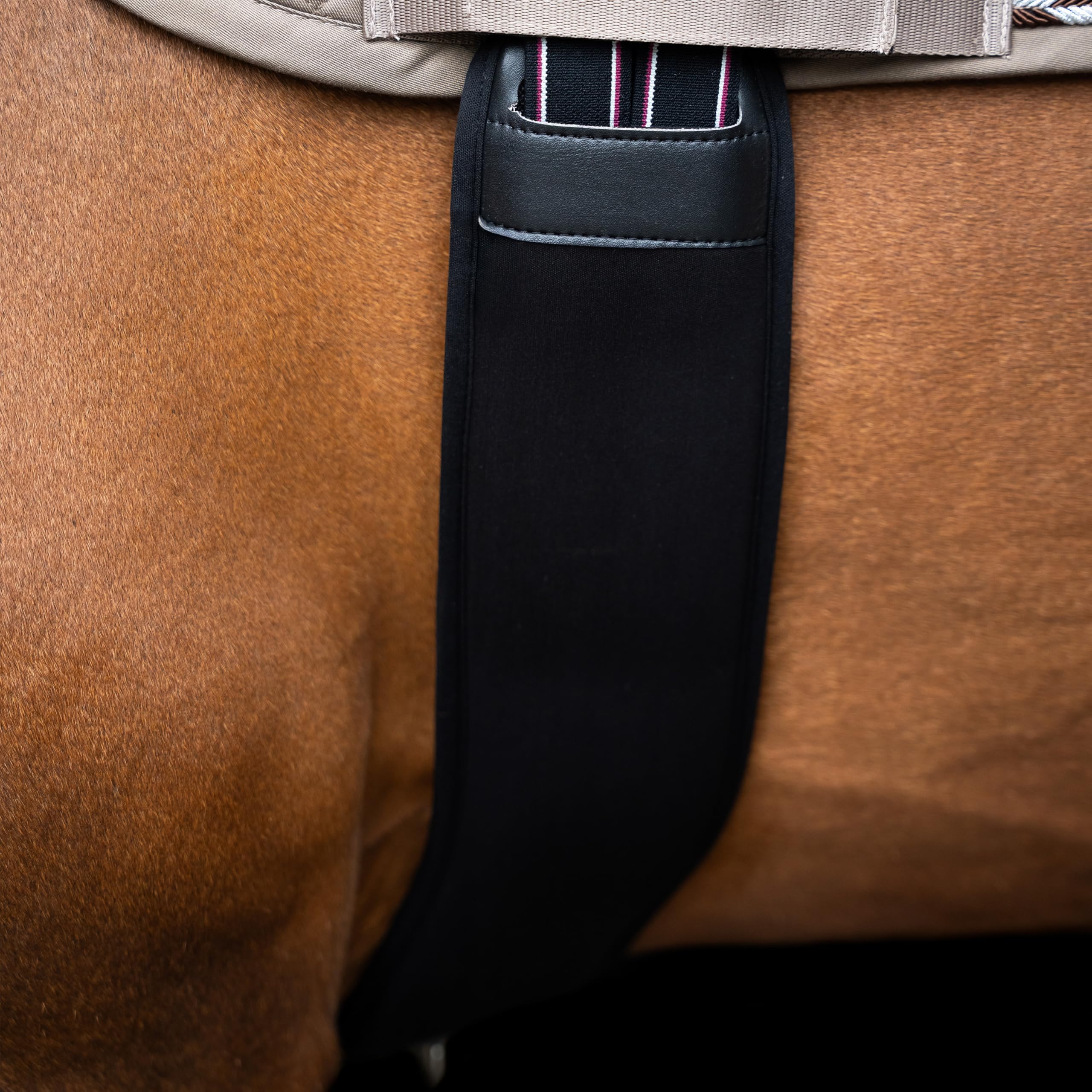 Imperial Riding Springgurt IRHBasic anatomisch, Stollengurt mit Neoprenpolster und D-Ring, Schwarz, 145cm