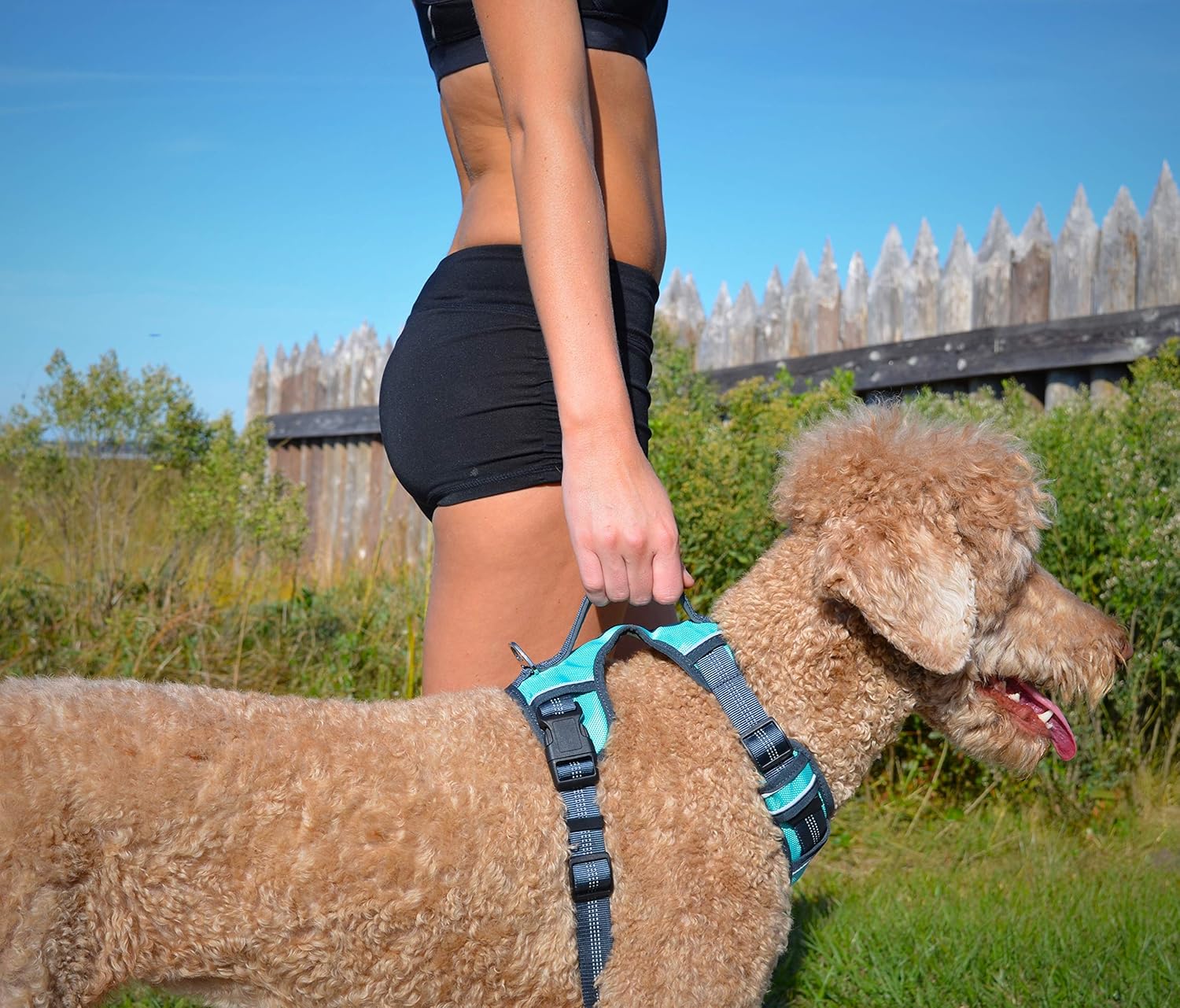 Black Rhino The Comfort Dog Harness with Mesh Padded Vest for Small