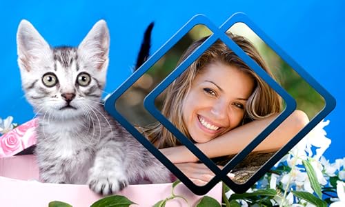 Animais bonitos Photo Frames