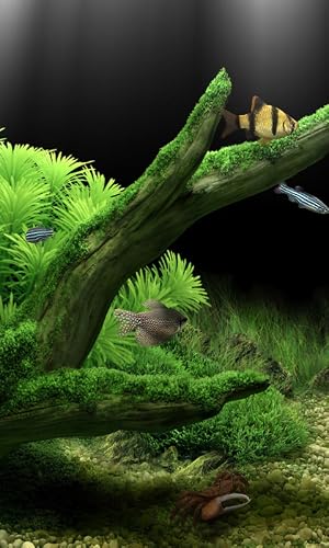 Aquarium 3D Pro Live Wallpaper – vue 2
