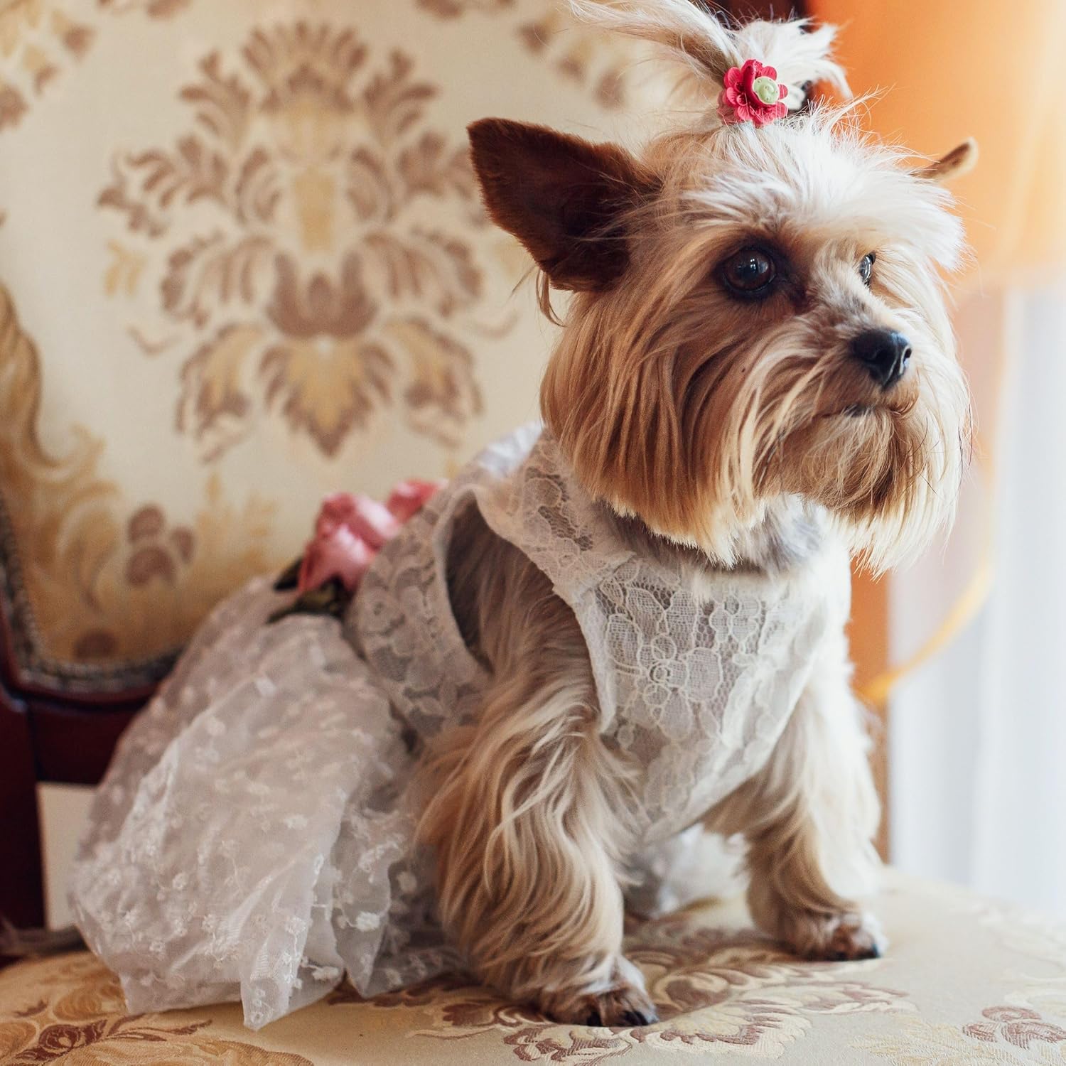 Fitwarm Luxury Rose Lace Pet Dog Weddding Dress Bride Clothes Formal Apparel, Medium
