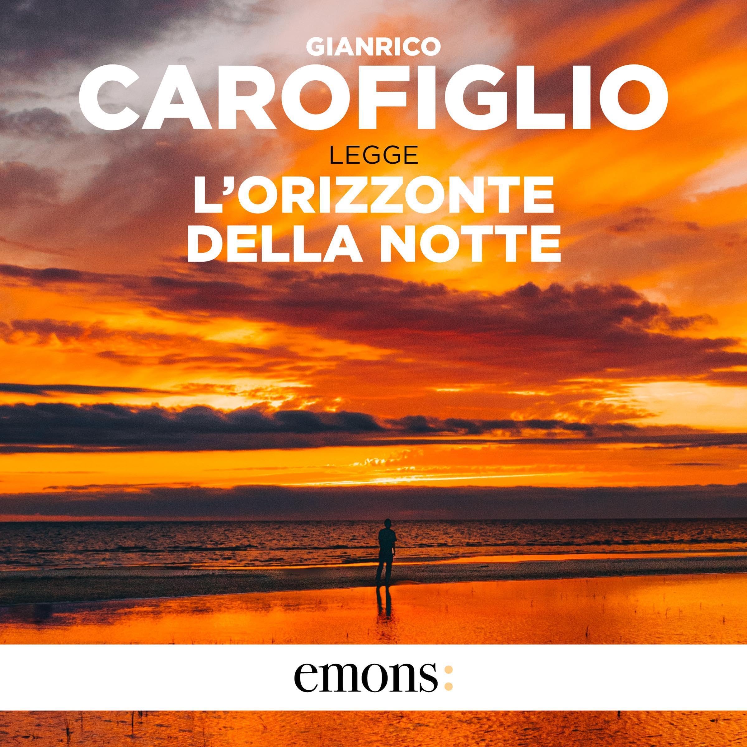 L'avvocato Guido Guerrieri 7: L'orizzonte della notte