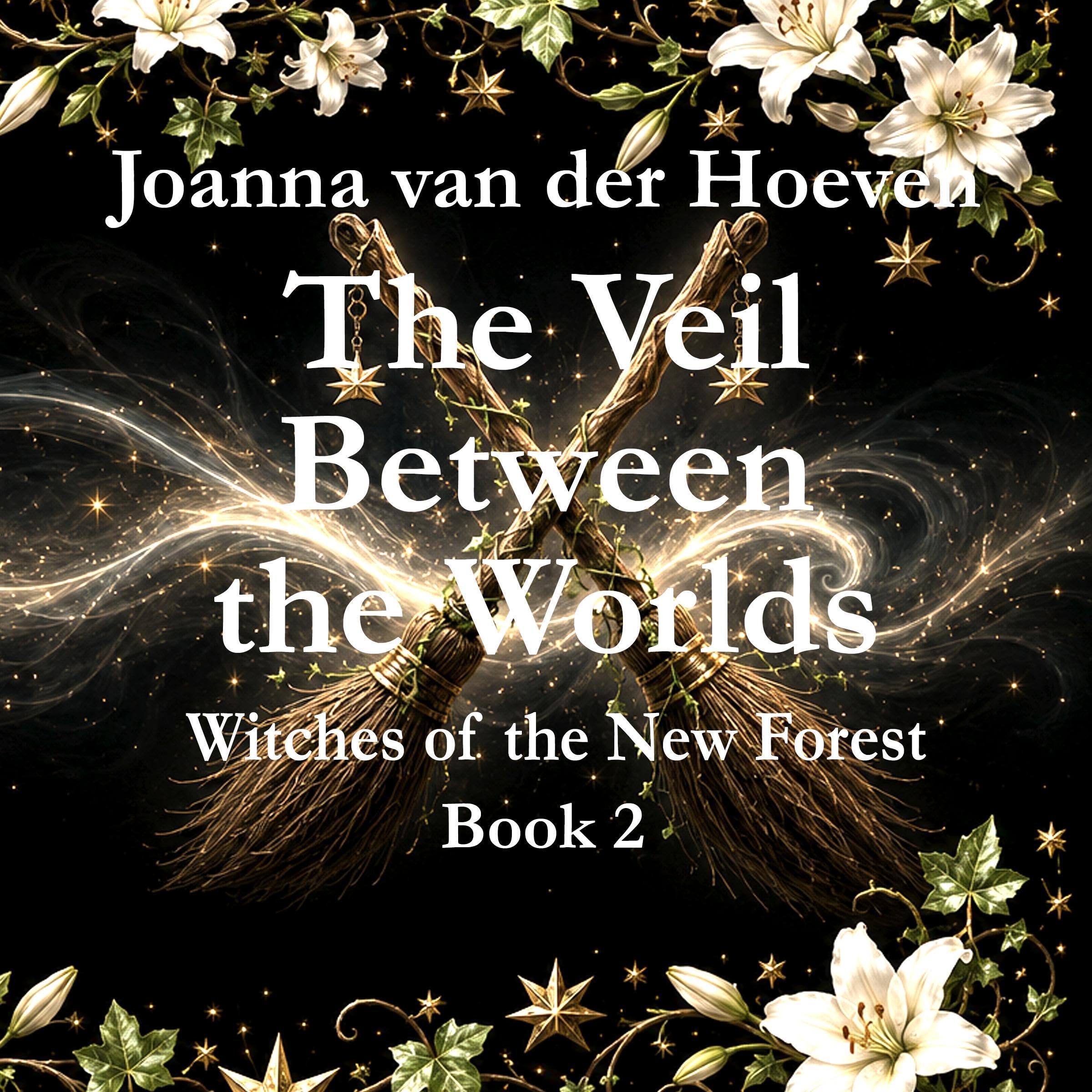 Cover art for The Veil Between the Worlds